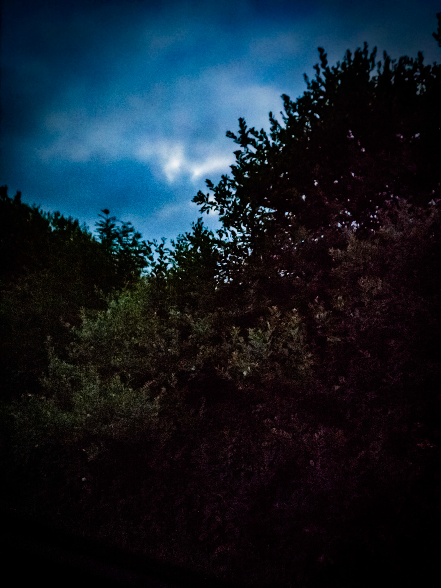 View from the van Marsden