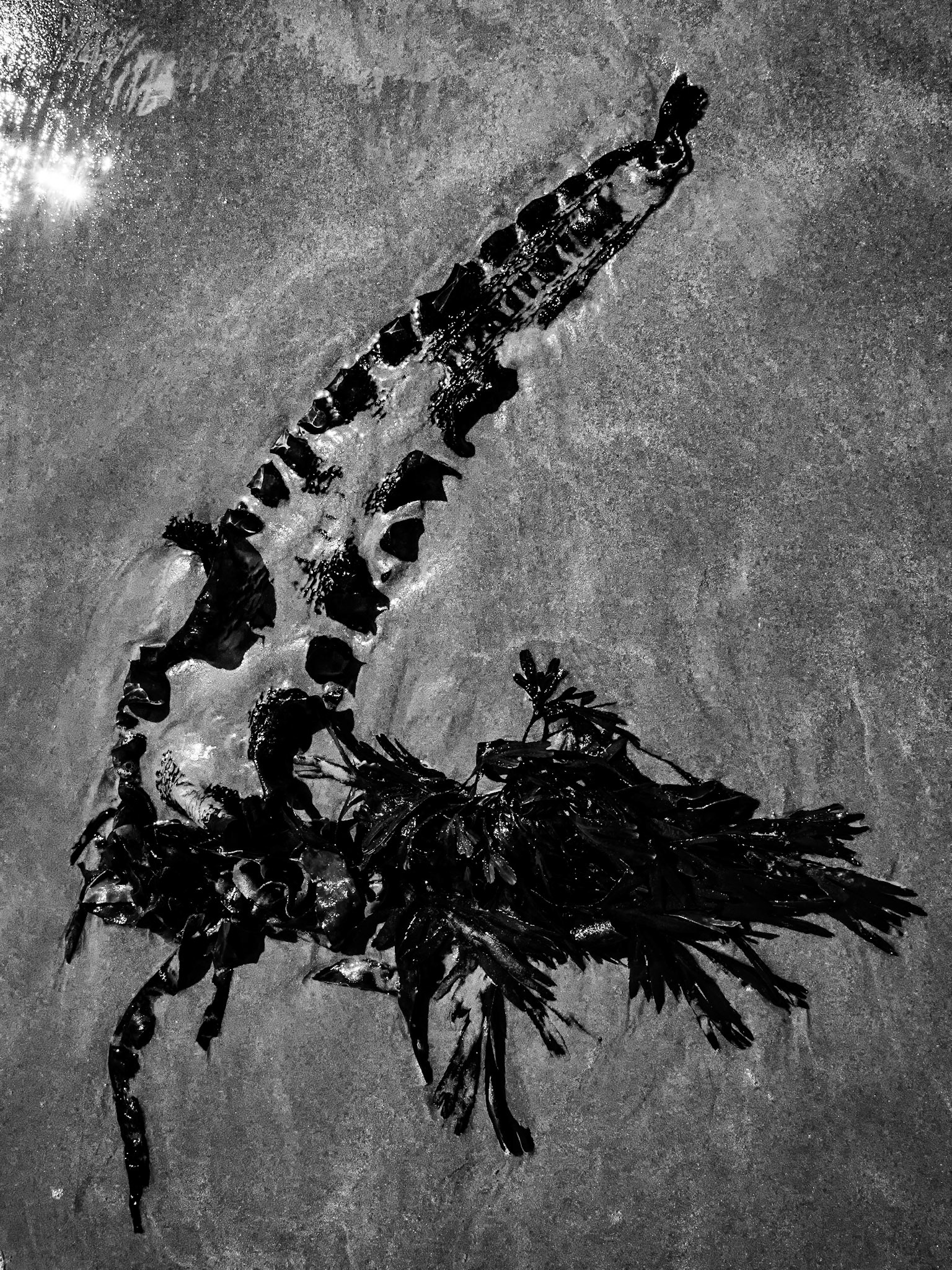 Beadnell Northumberland Summer 2019