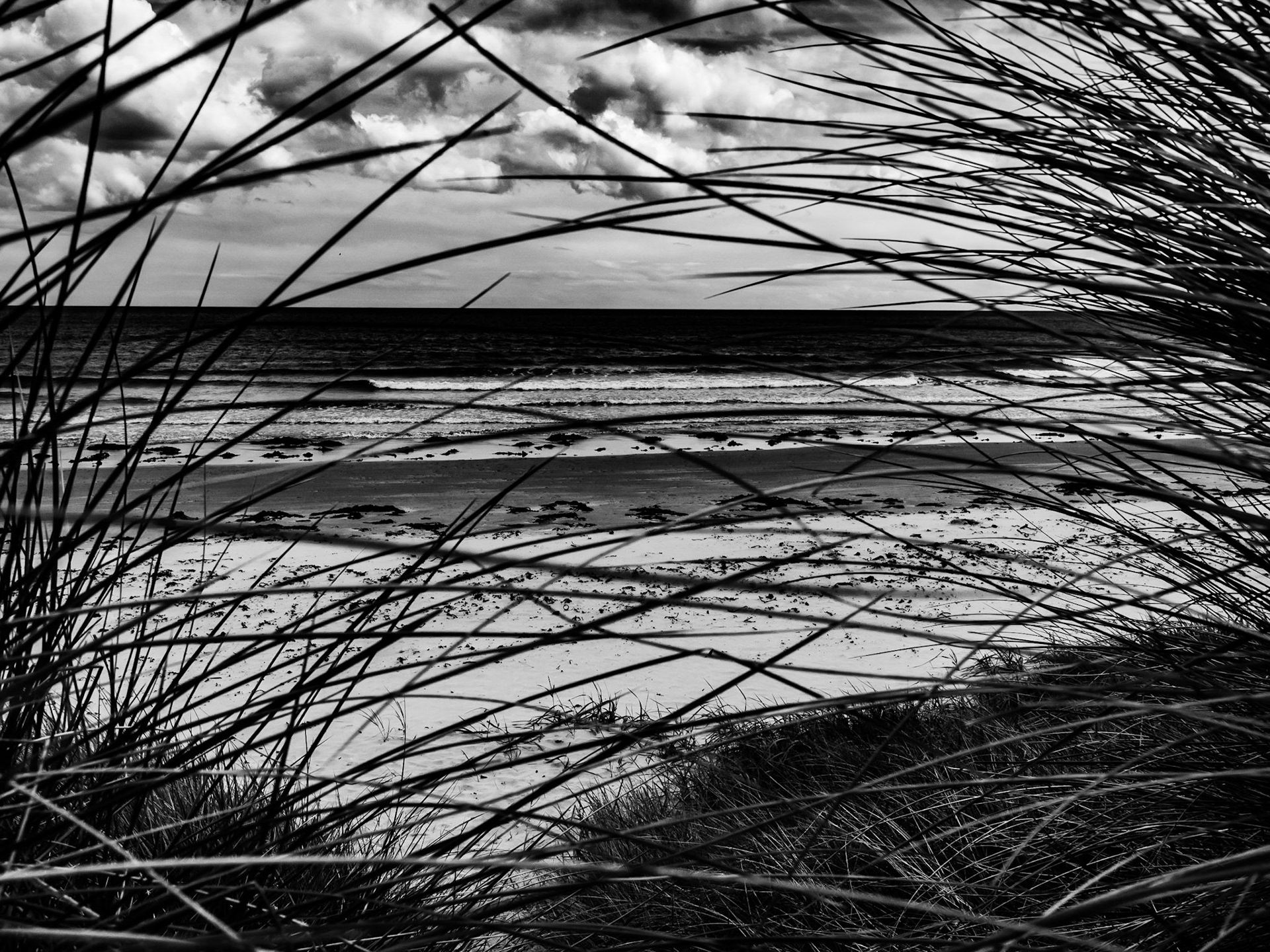 Beadnell Northumberland Summer 2019