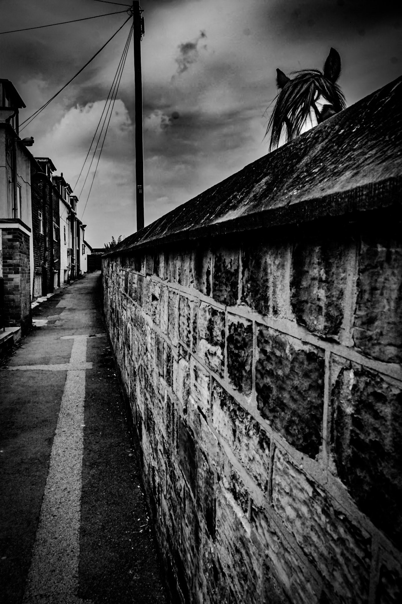 Photographed in Whitby by Robert Norbury. Printed 7/11/2011. Signed verso.