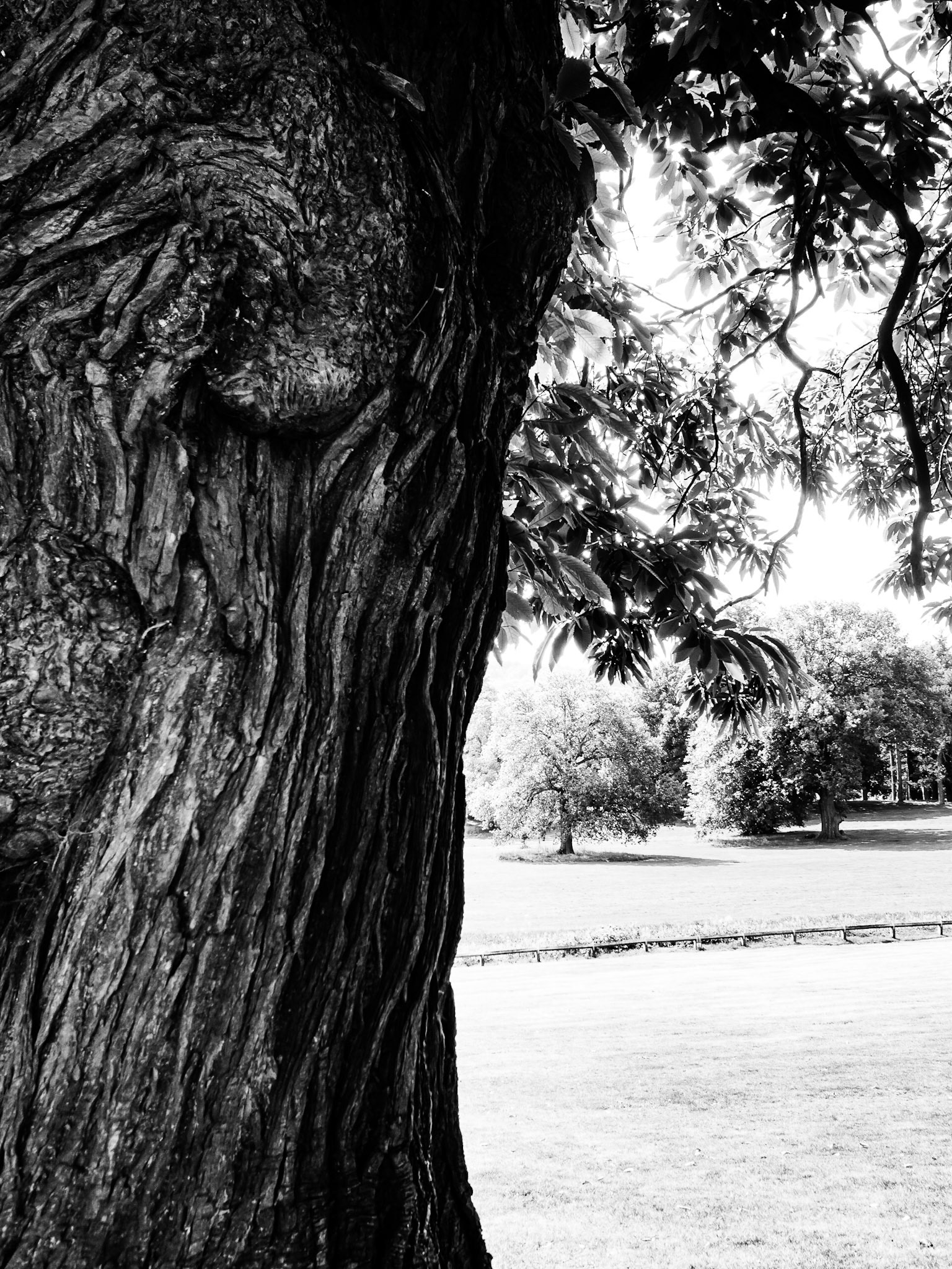 Cannon Hall Barnsley