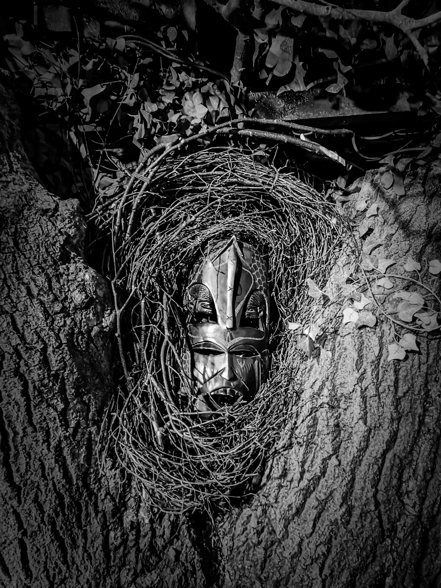 Small seeds venue Huddersfield