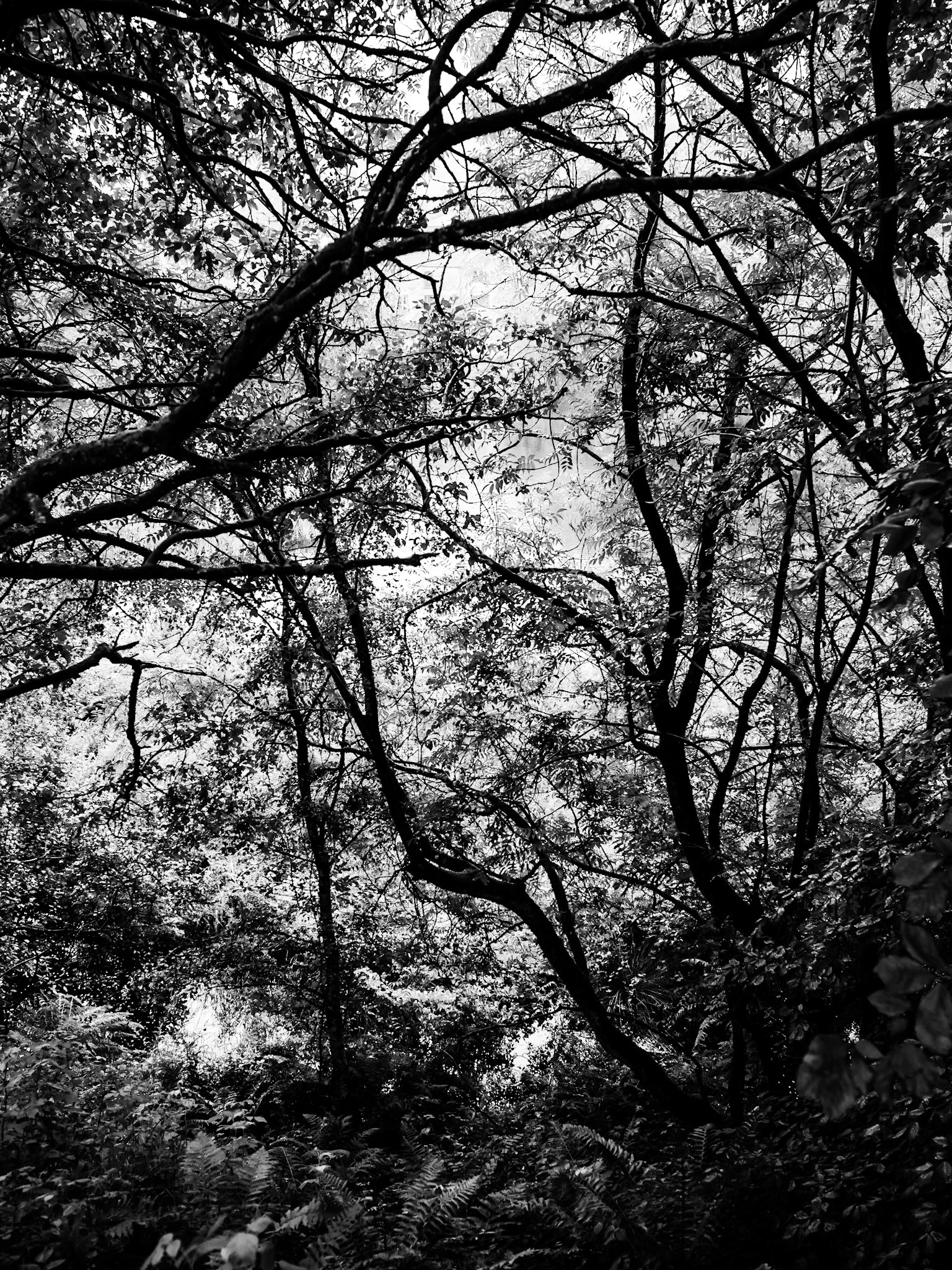 Trip to Clapham North Yorkshire for Descent of Gaping Gill.