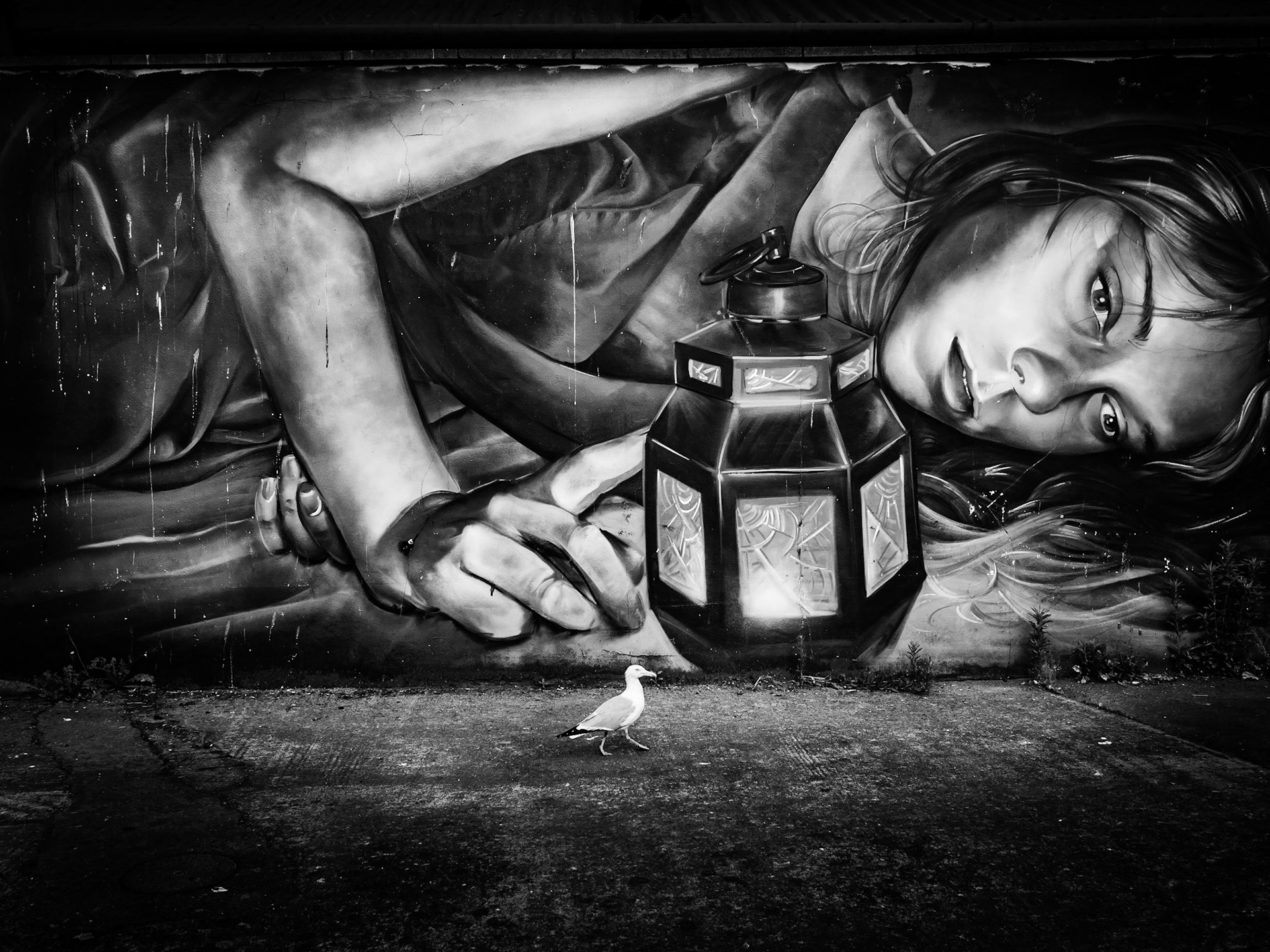 Gull and Mural Burnham on Sea