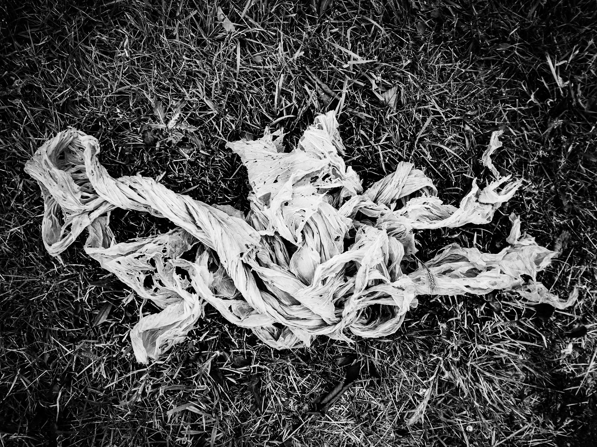 Torn Tissue Brighouse