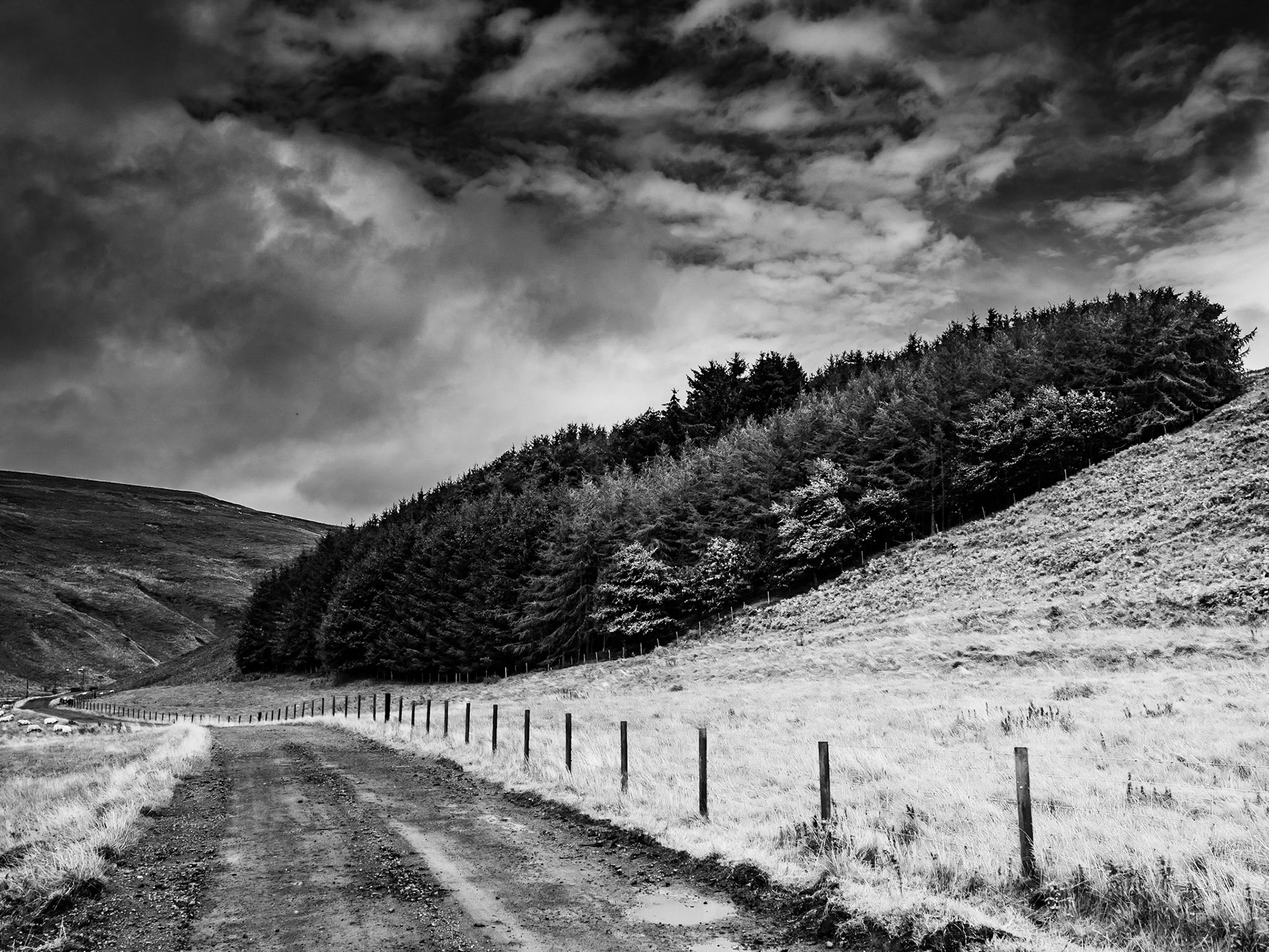 Clennell Northumberland