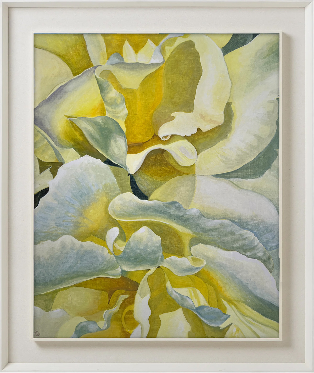 White Rose 2 - 40x50cm
