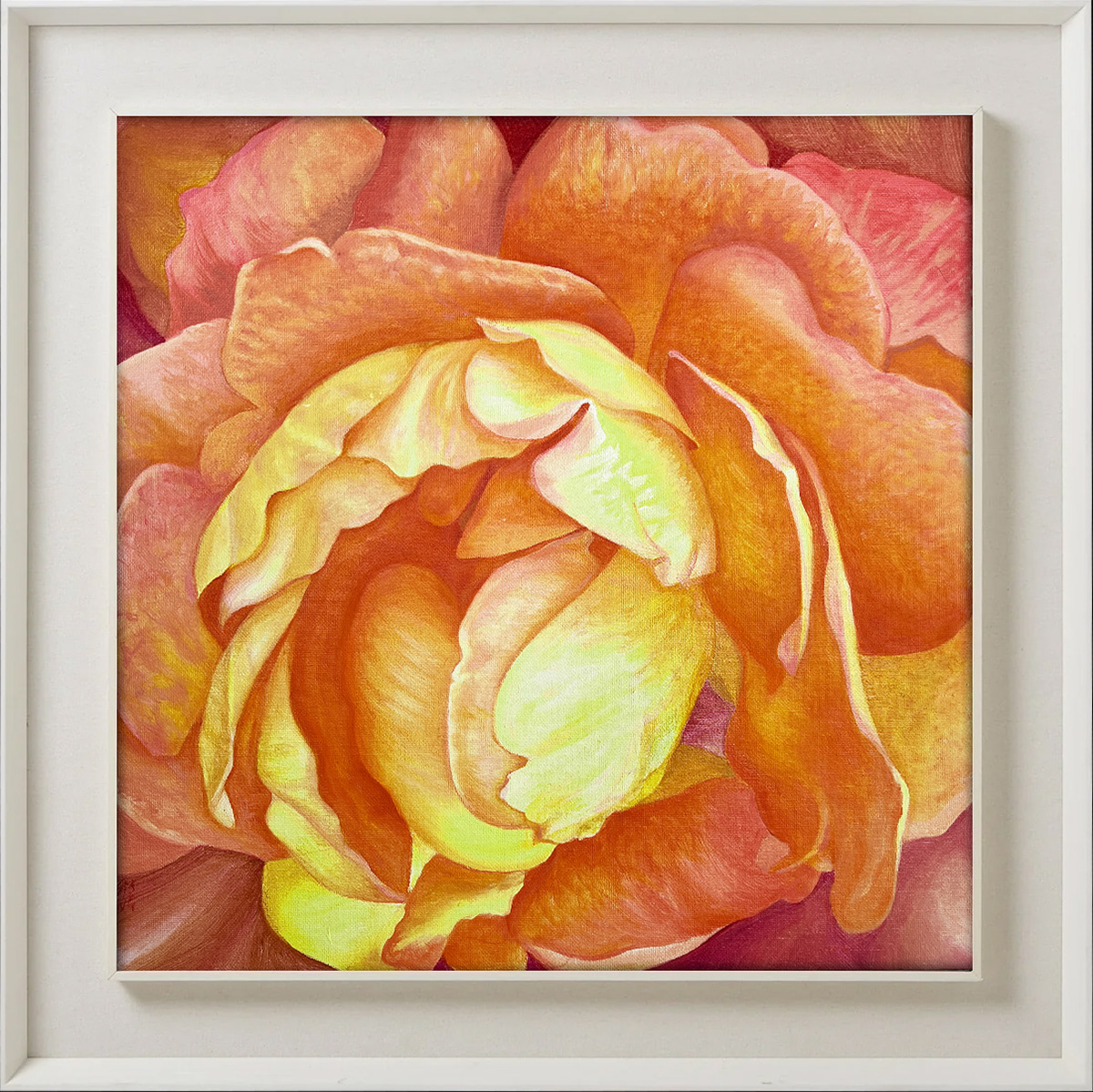 Apricot Rose 1 - 40x40cm