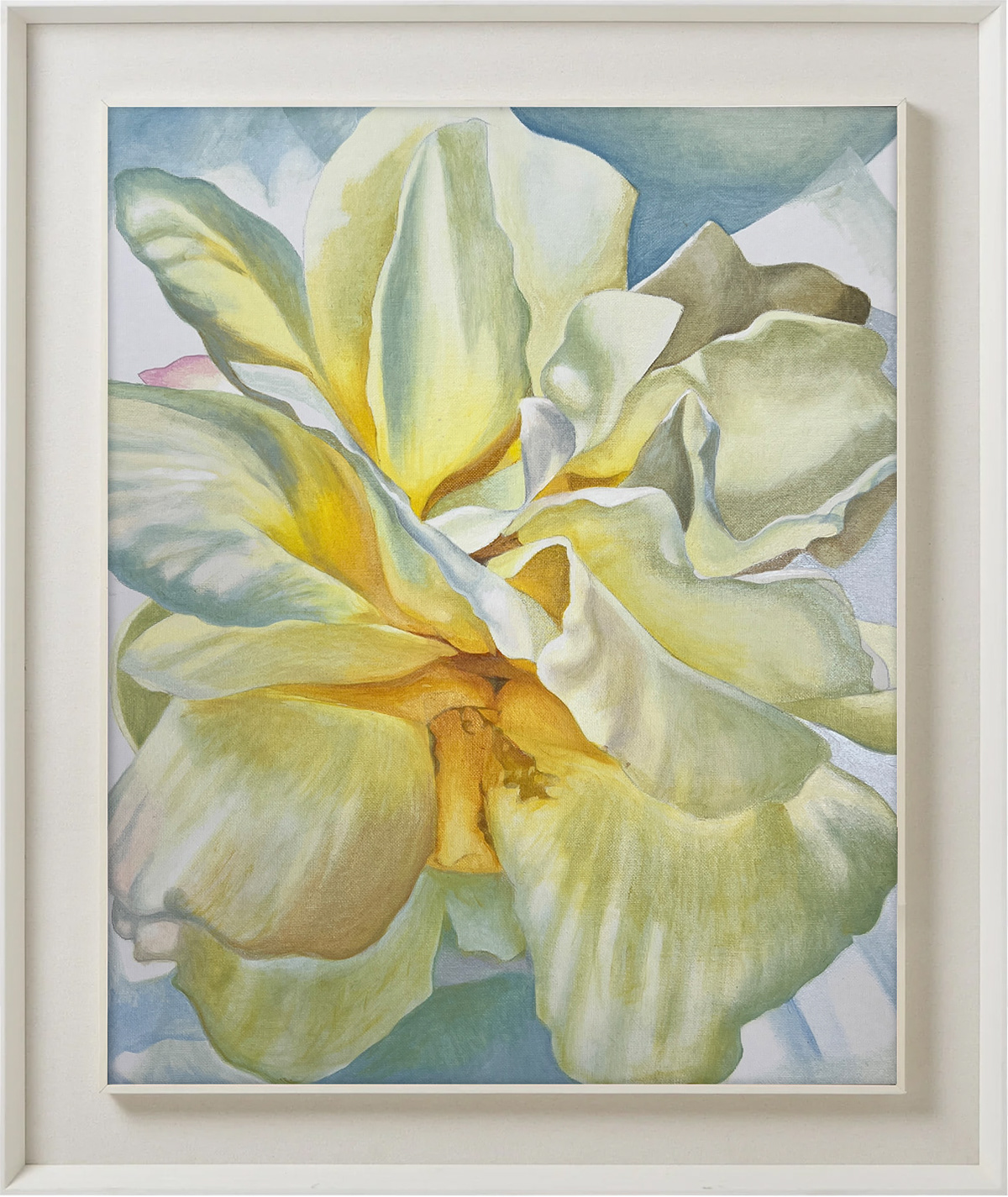 White Rose 1 - 40.5x50.5cm