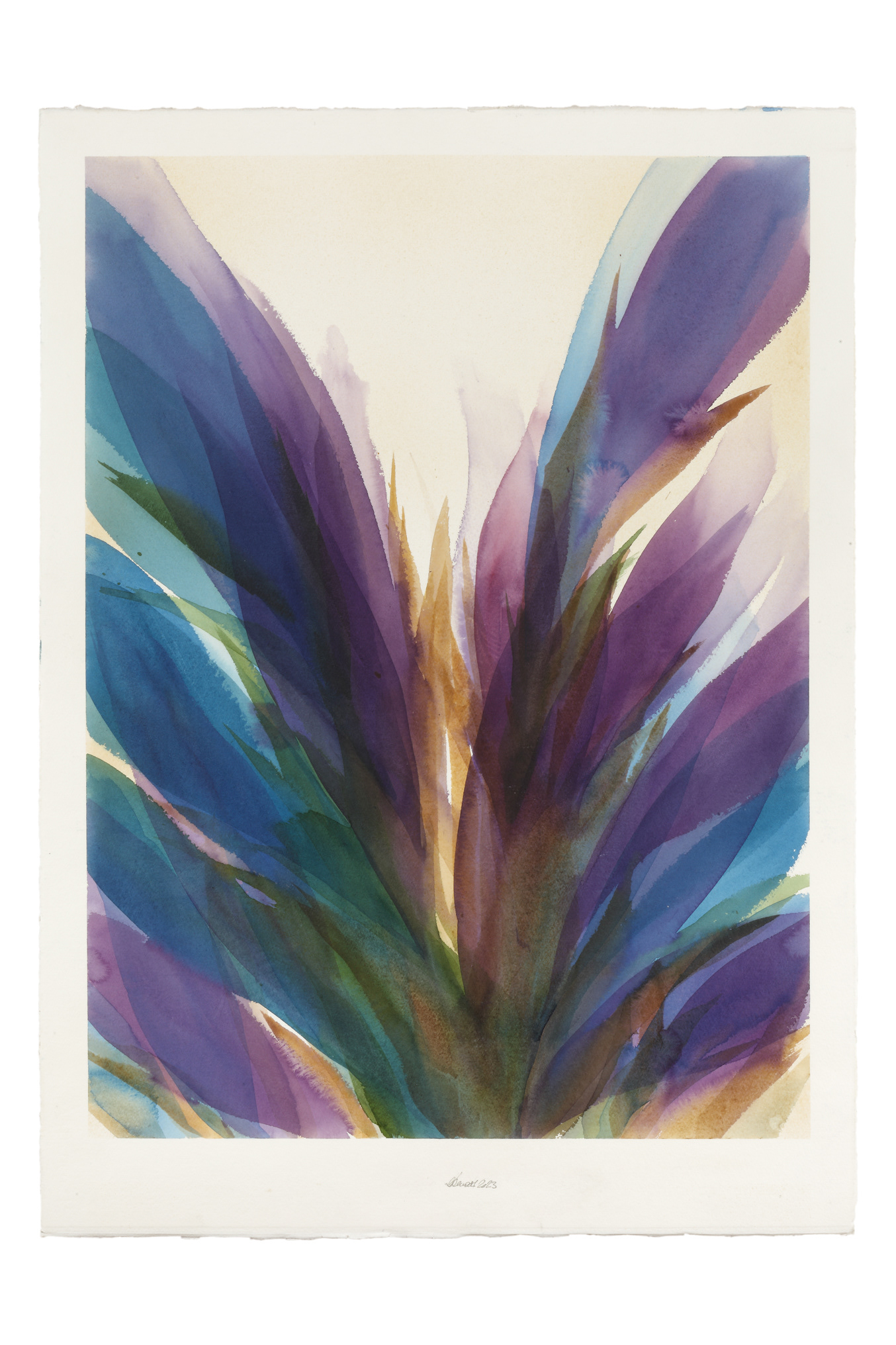 2023-colibri,-cm76x57-2023 Acquerello su carta intelata 