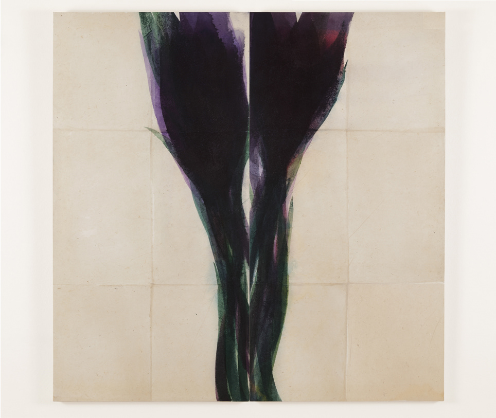 2021-Cigno-nero.cm.190x190-2021 Acquerello su carta intelata