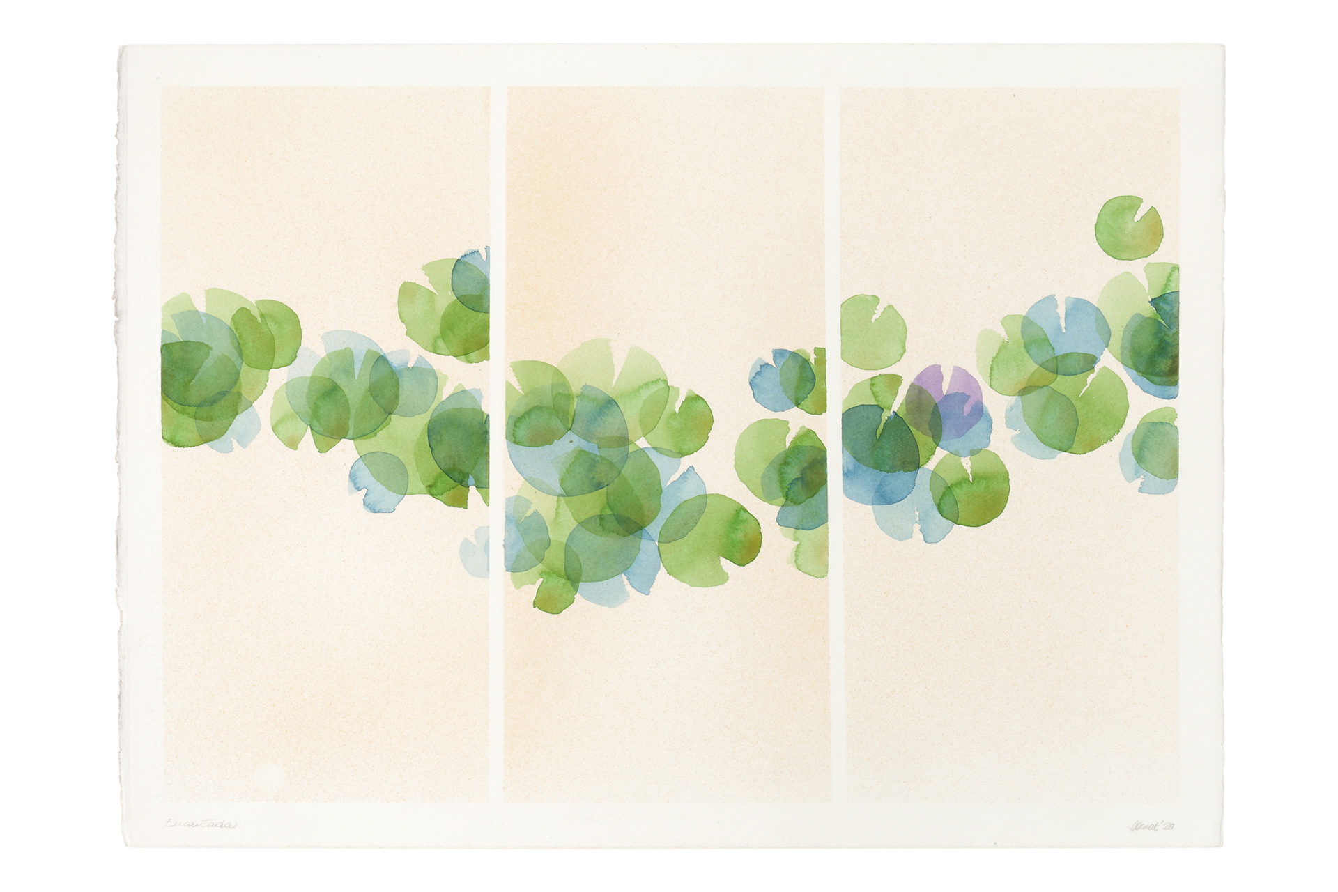 2023-encantadas,cm56x76 _2023 Acquerello su carta intelata