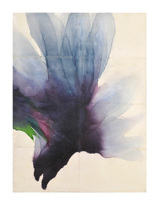 2010-Acqua-amara,-195x147,5.2010 Acquerello su carta intelata