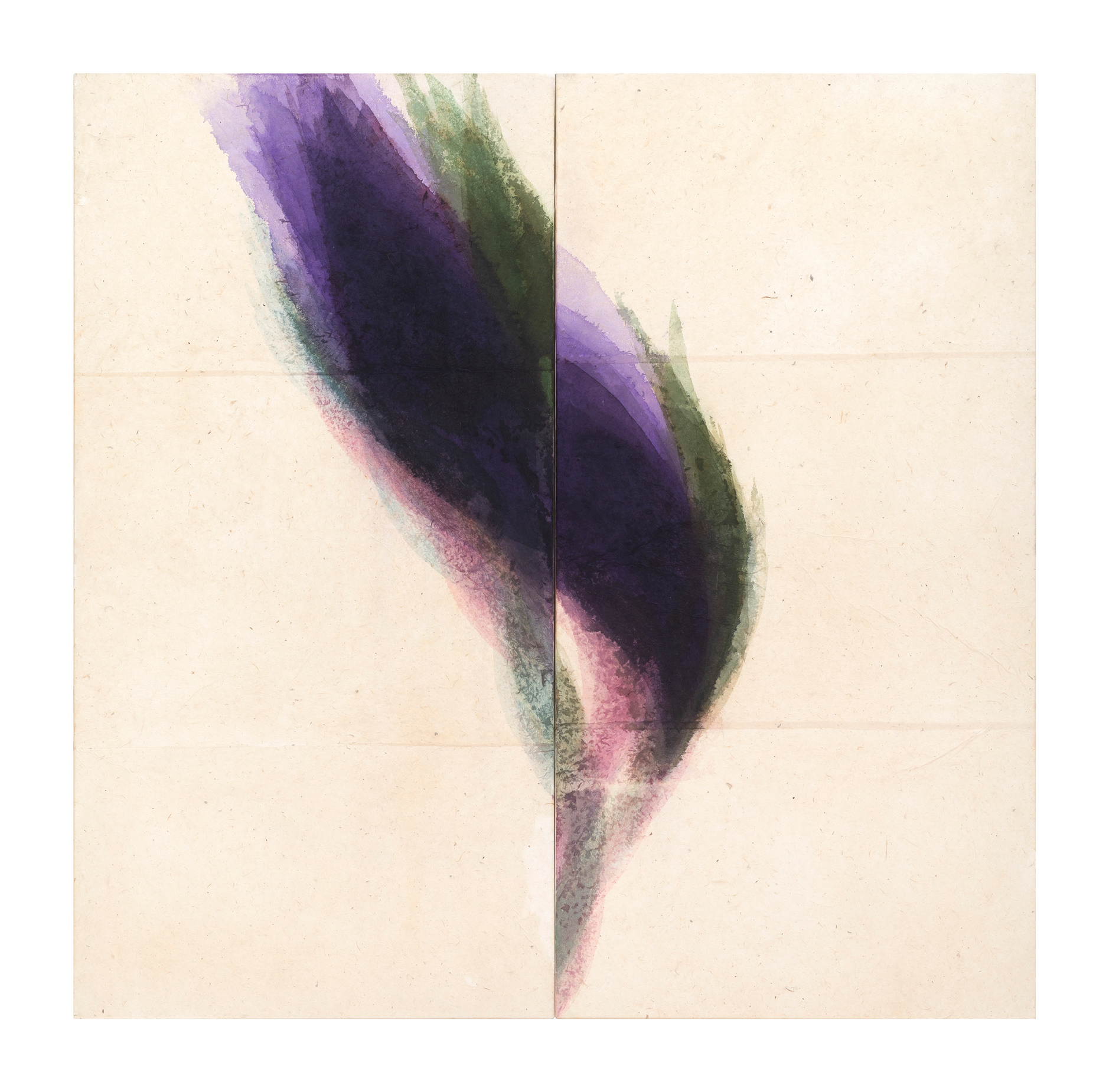 2021-Cigno-nero.-cm.130x130.-2021 Acquerello su carta intelata