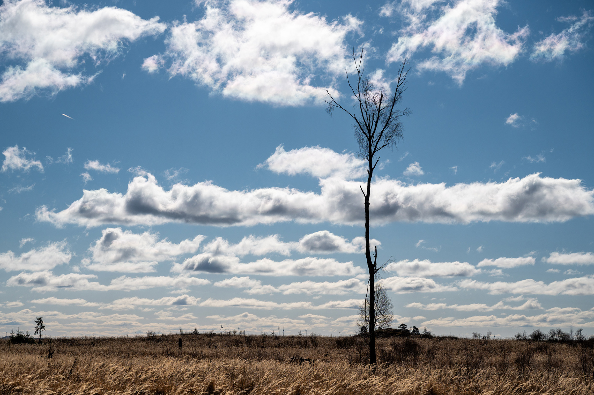 "Nicht viel übrig", Woche 33