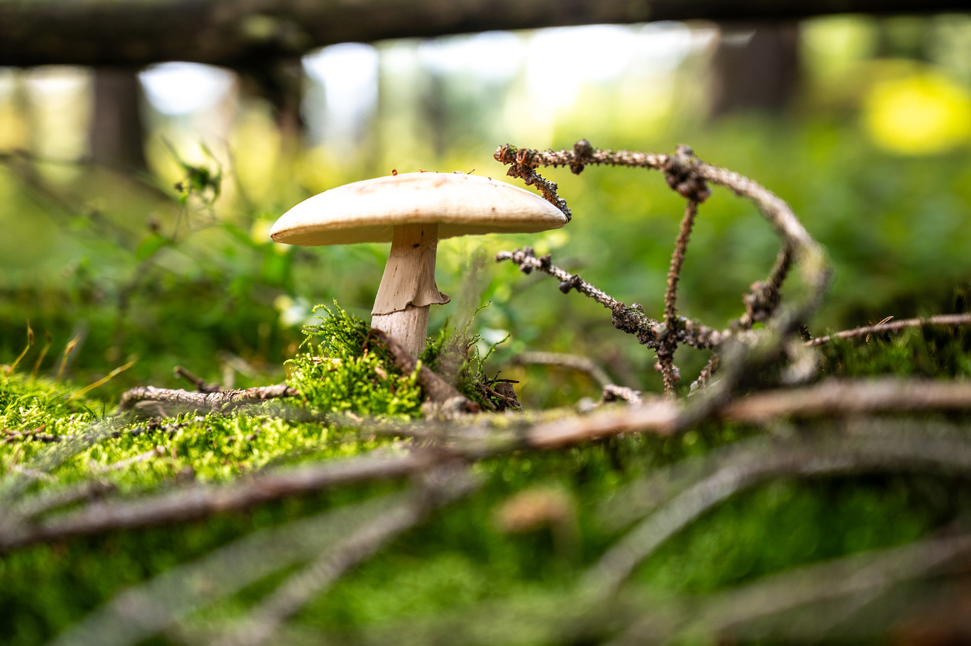 "Konstruiert", Woche 52