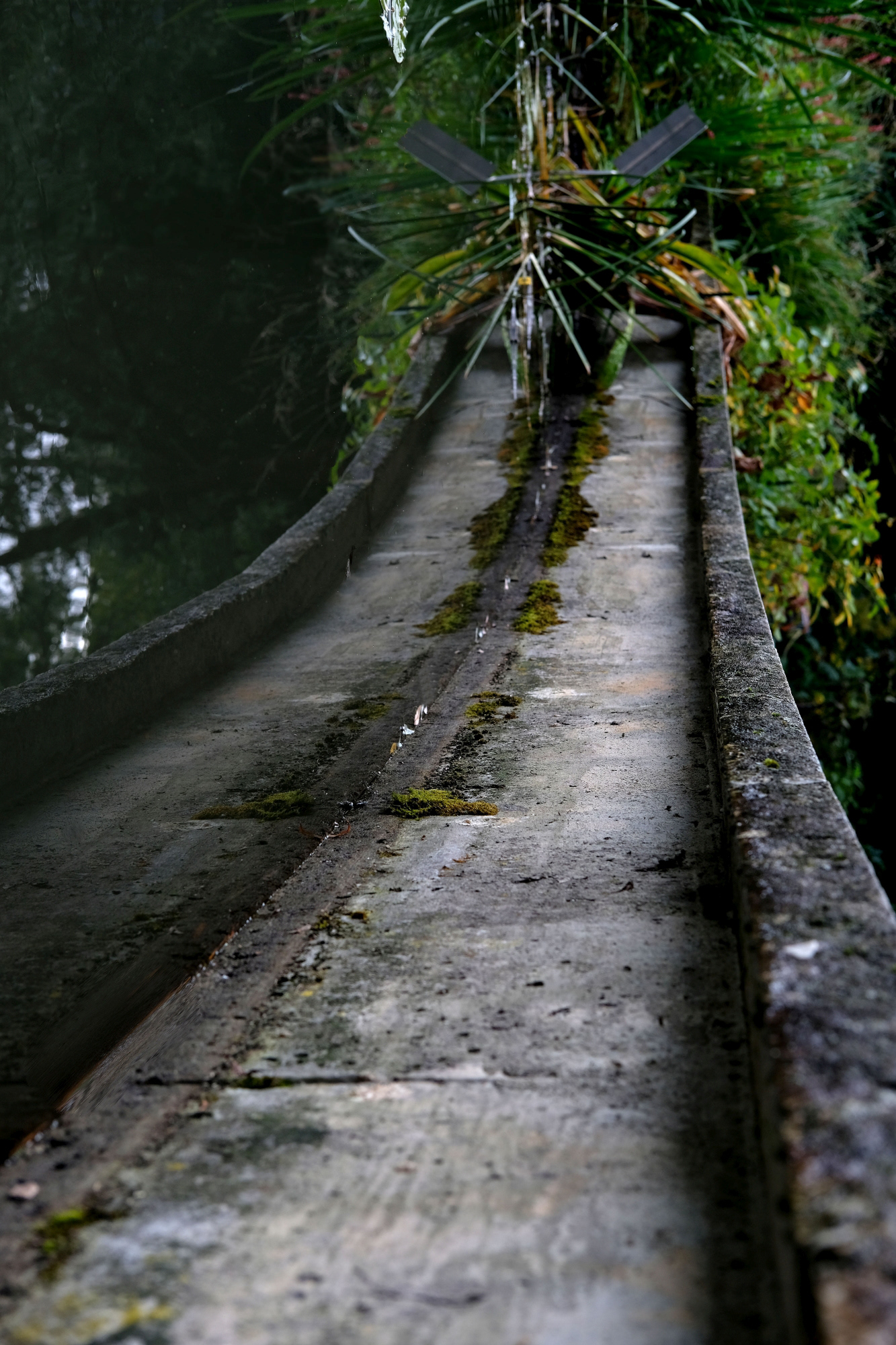 In Wirklichkeit: der als Rundbogen verlaufende Weg am Teich im unteren Teil des Botanischen Gartens, Theresienstein, Hof. Die Aufnahme wurde um 90 Grad nach rechts gedreht und der Ausschnitt so gewählt, dass der einer Brücke mit Wasser links und Abhang rechts entsteht.