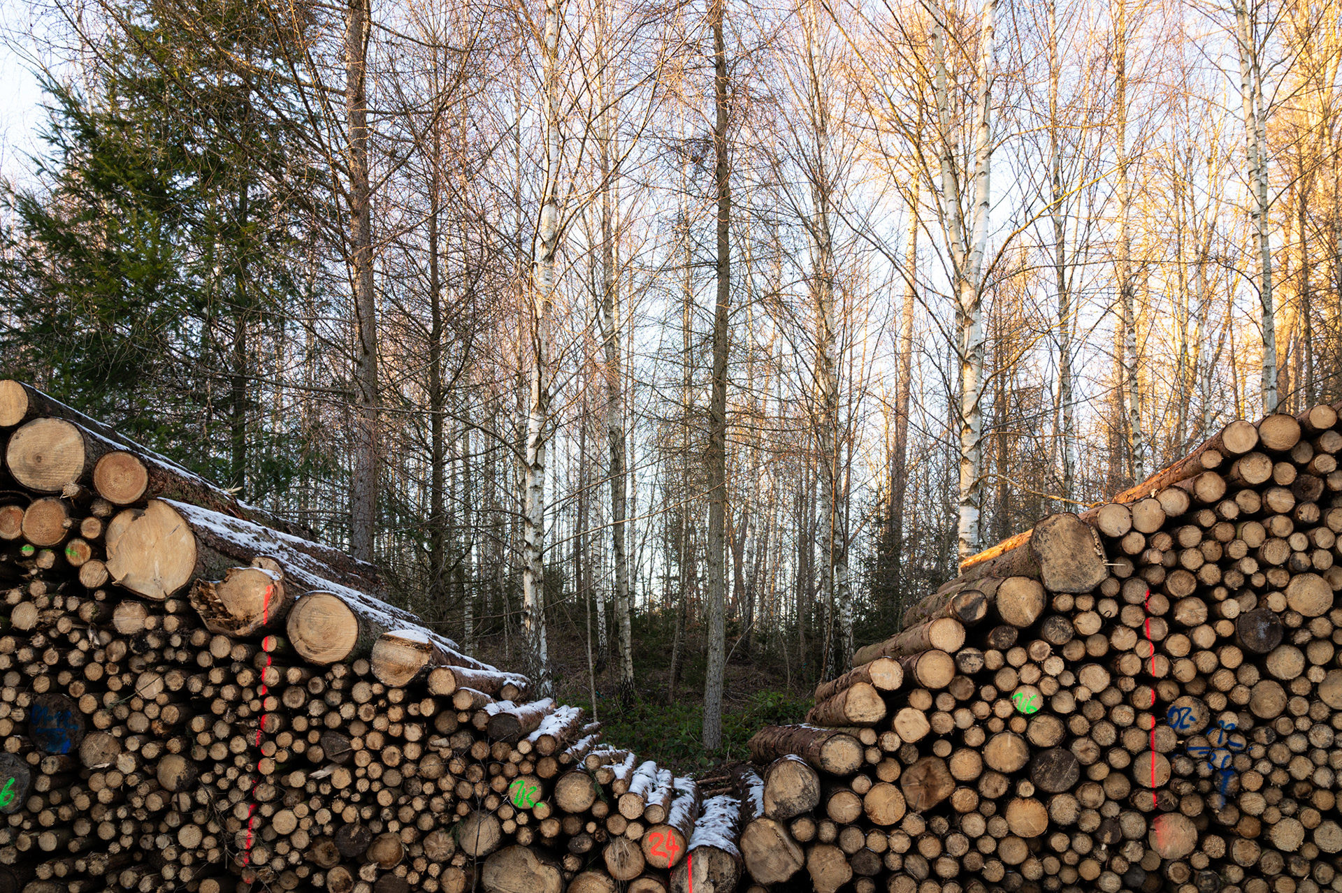 "Talblick", Woche 22