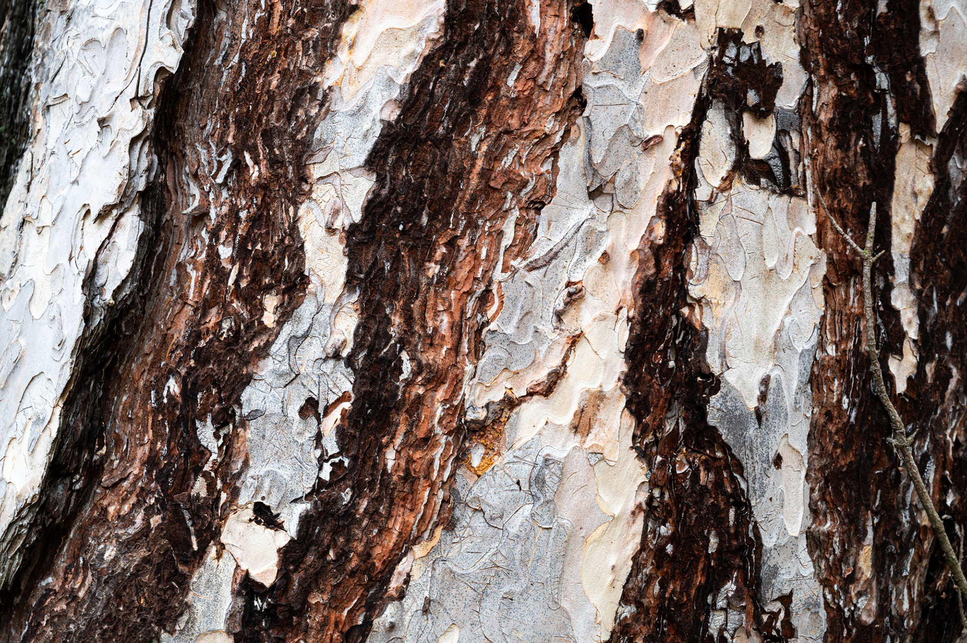 "Strukturiert", Woche 16