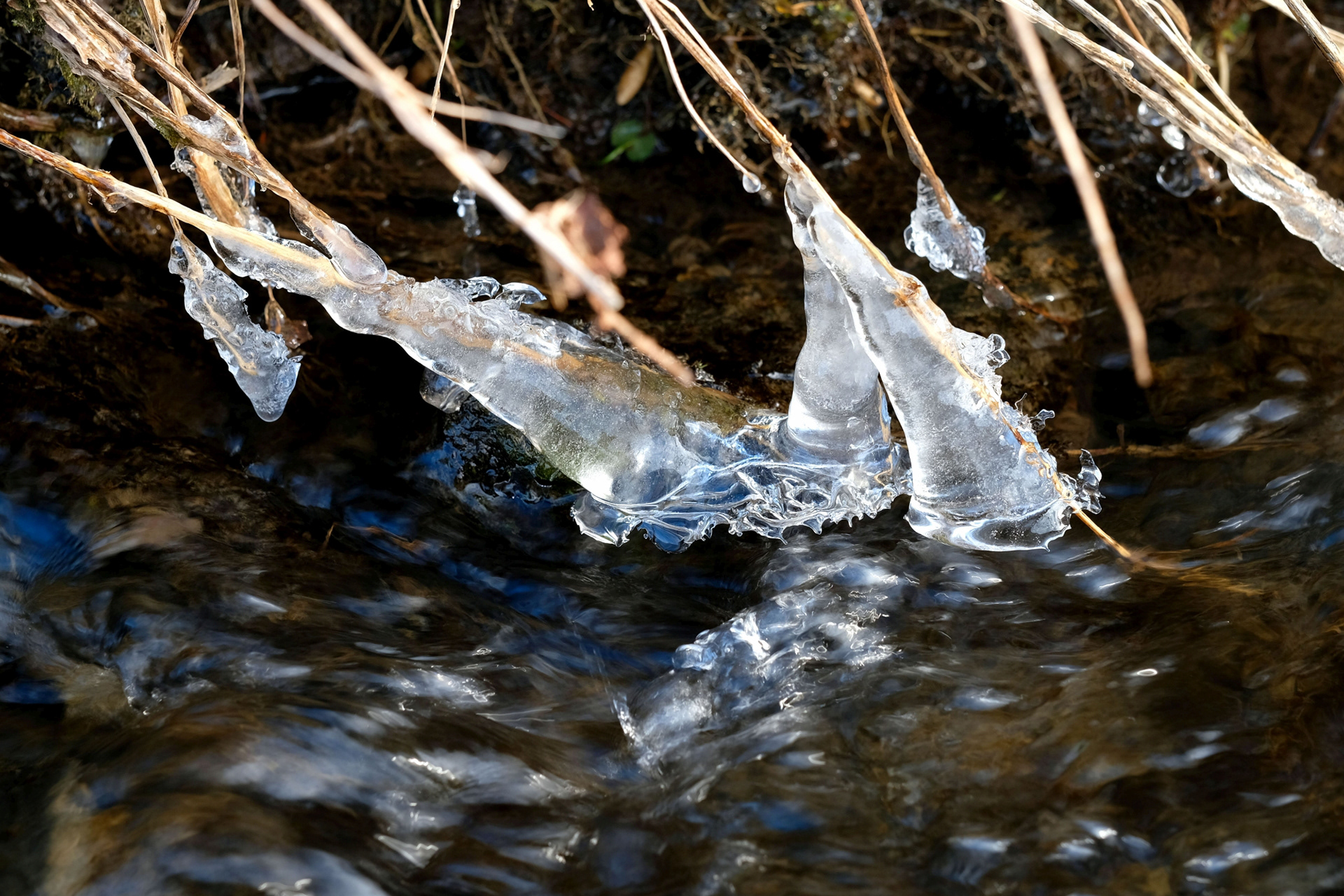 Eisgebilde am Ufer des Rohrbachs, Gemeinde Feilitzsch, Hofer Land