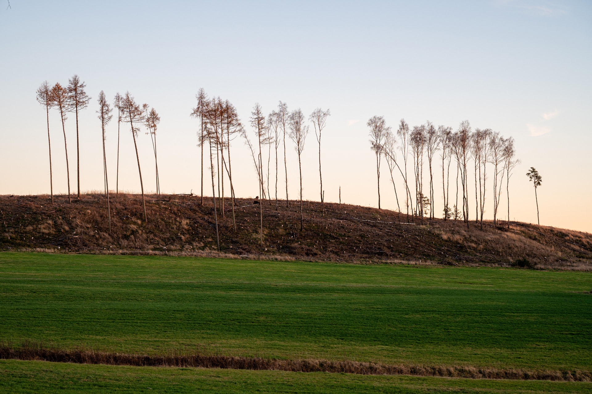 "Zählbar", Woche 15