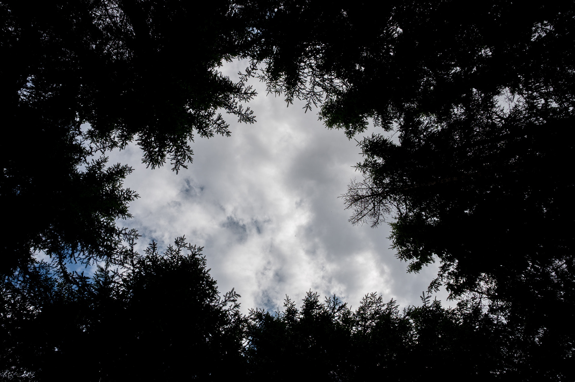 "Mittig bewölkt", Woche 47