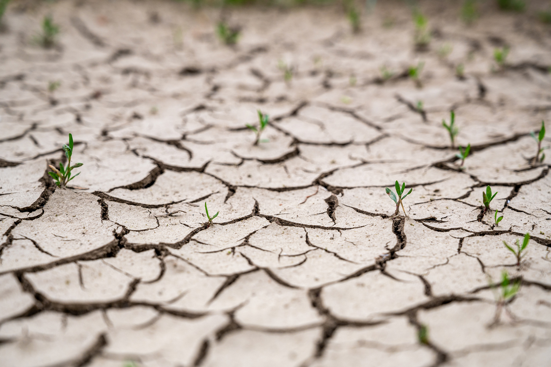 "Wassernot", Woche 42