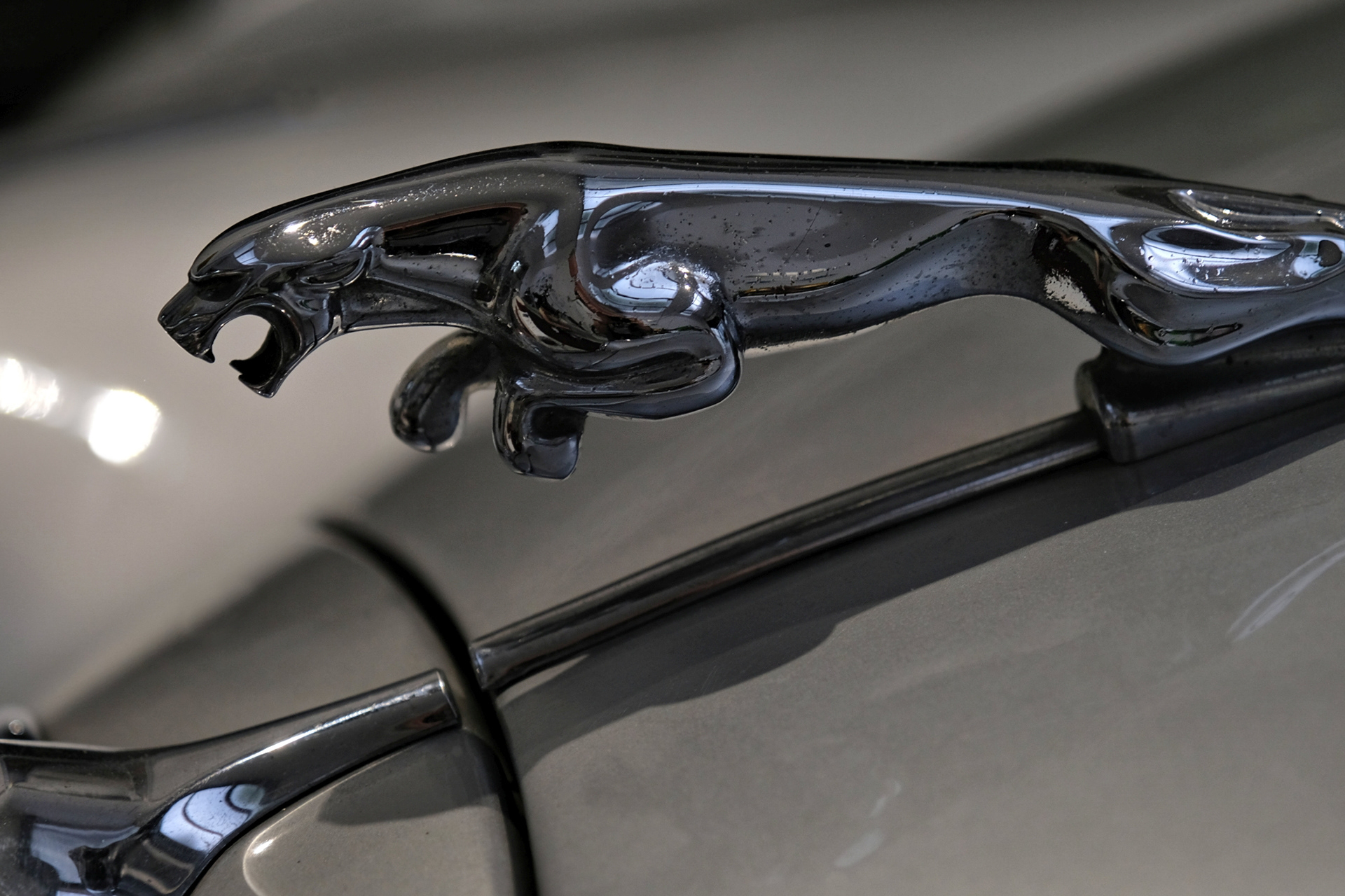 Kühlerfigur eines älteren Autos. Normalerweise sieht man solche Objekte von oben, wenn man vor dem Fahrzeug steht oder daneben. In diesem Fall fand ich es spannend, ein paar Zentimeter nach unten zu gehen um auf Höhe der Figur zu sein. Entstanden ist die Aufnahme in einem Parkhaus.