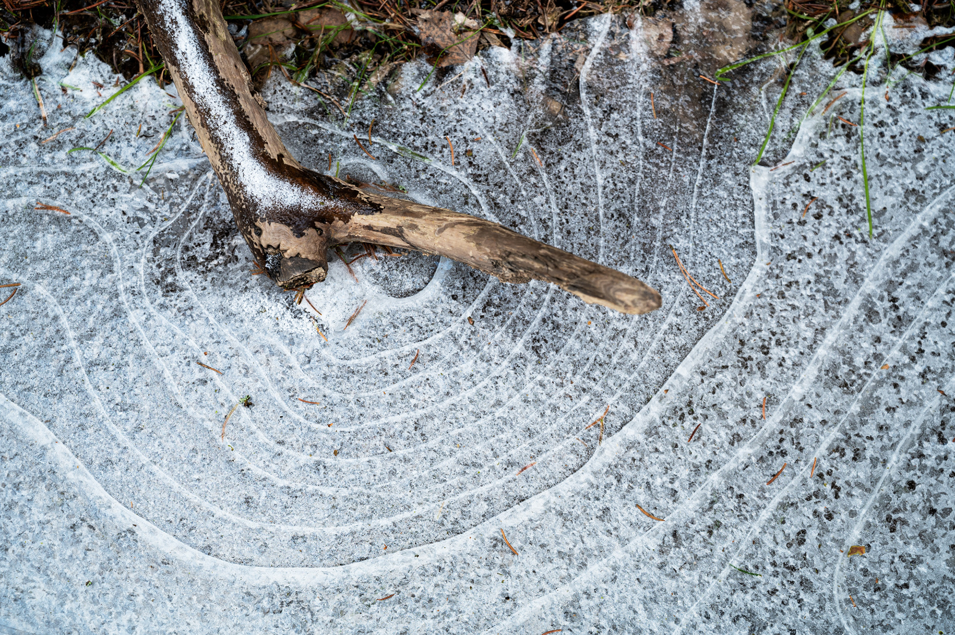 "Bääämmmm", Woche 21