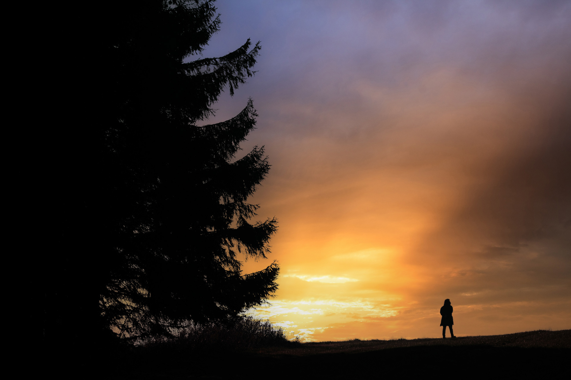 "Spaziergang", Woche 12