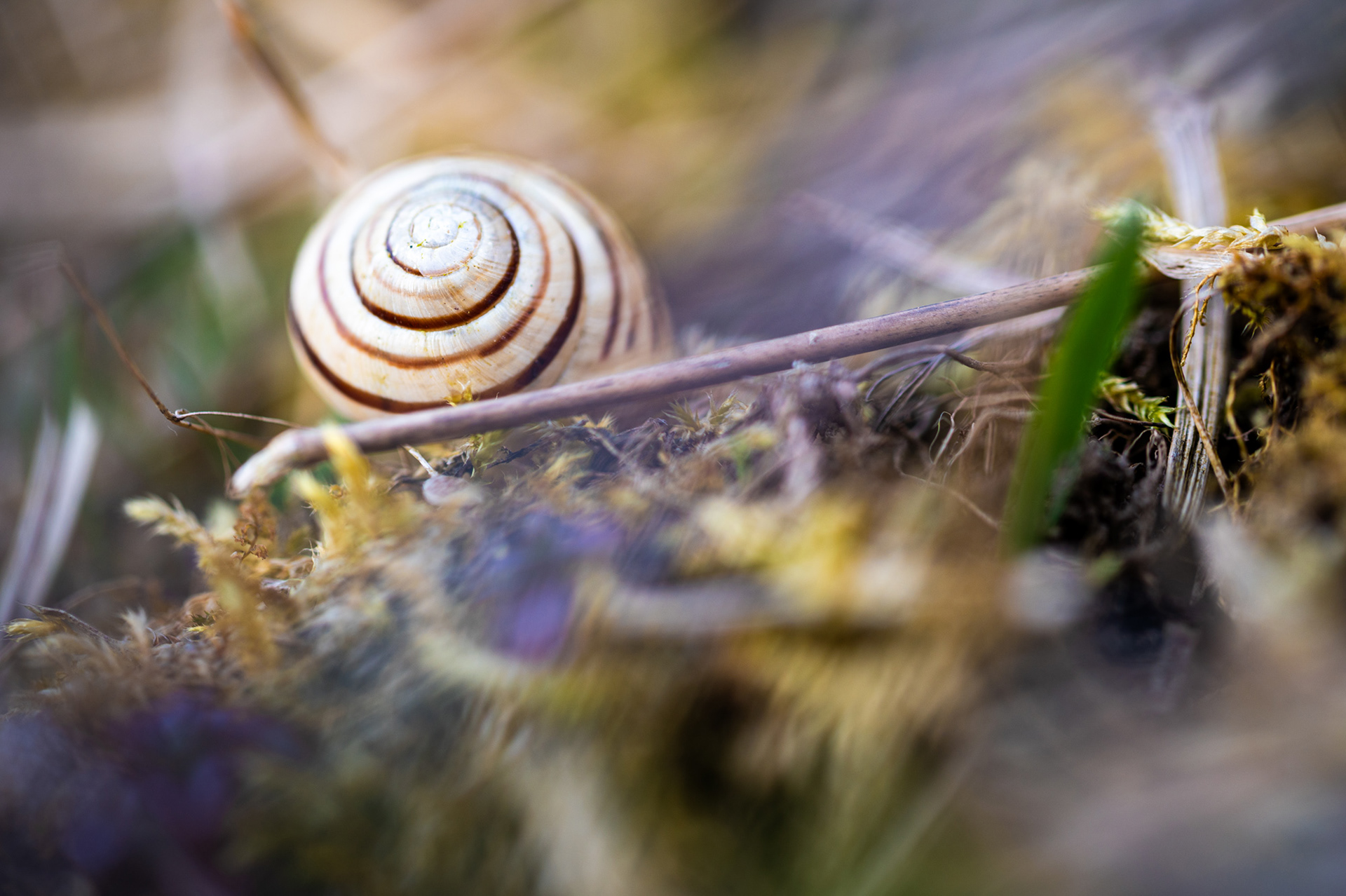 "Kleinteil", Woche 32