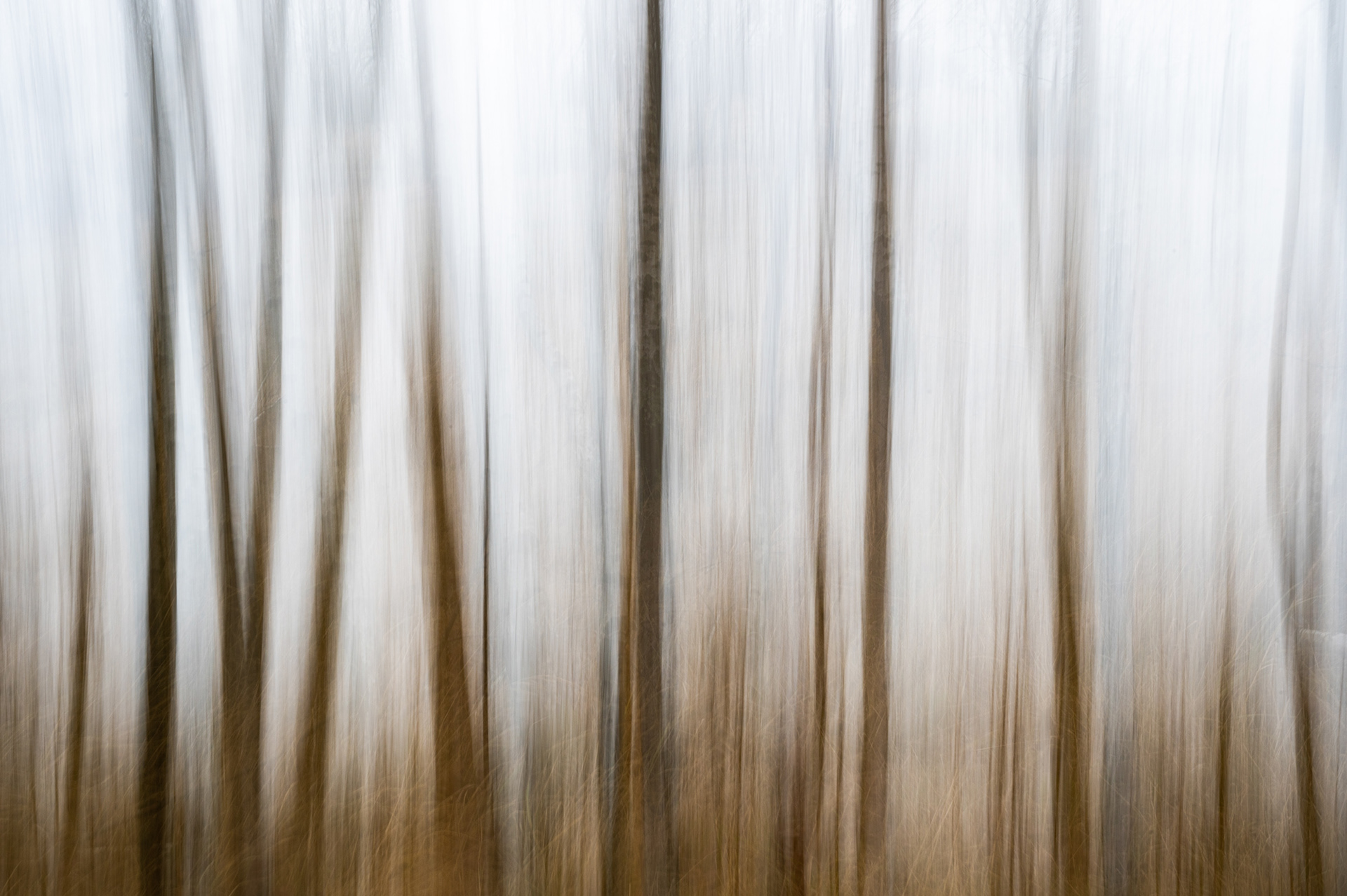 "Ullitz 1", Woche 18