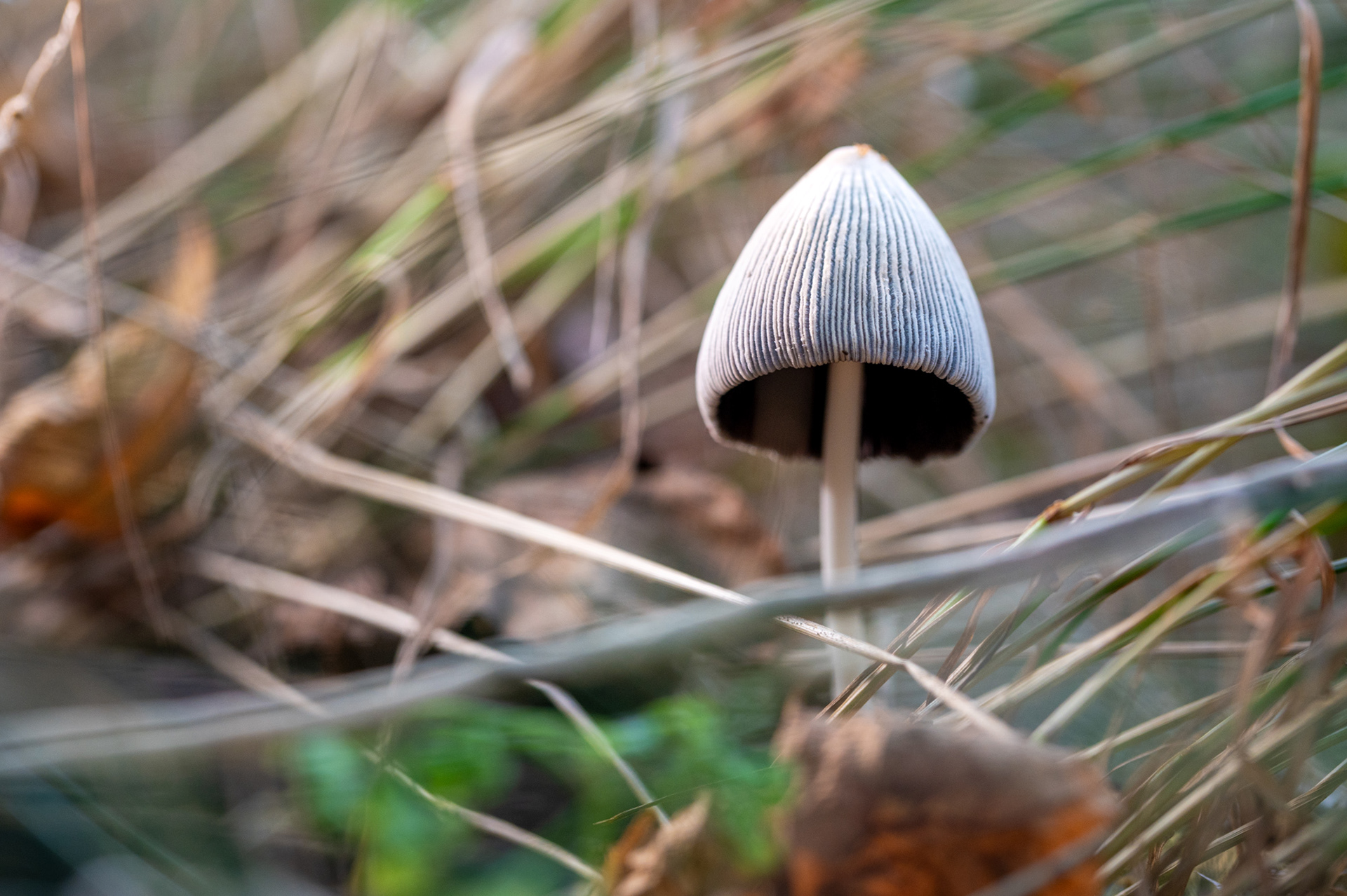 "Hut tut gut", Woche 48