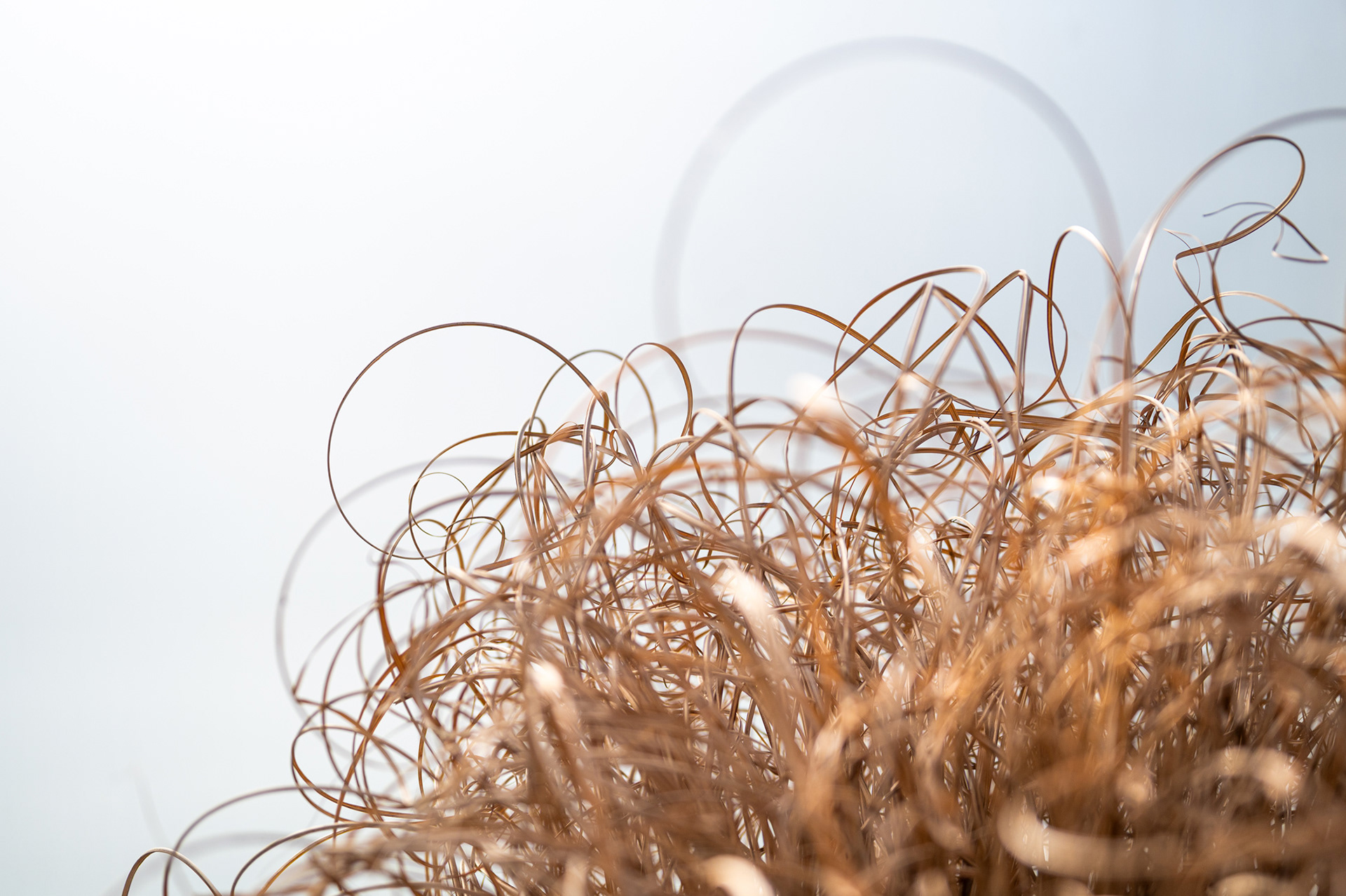 "Tohuwabohu", Woche 29