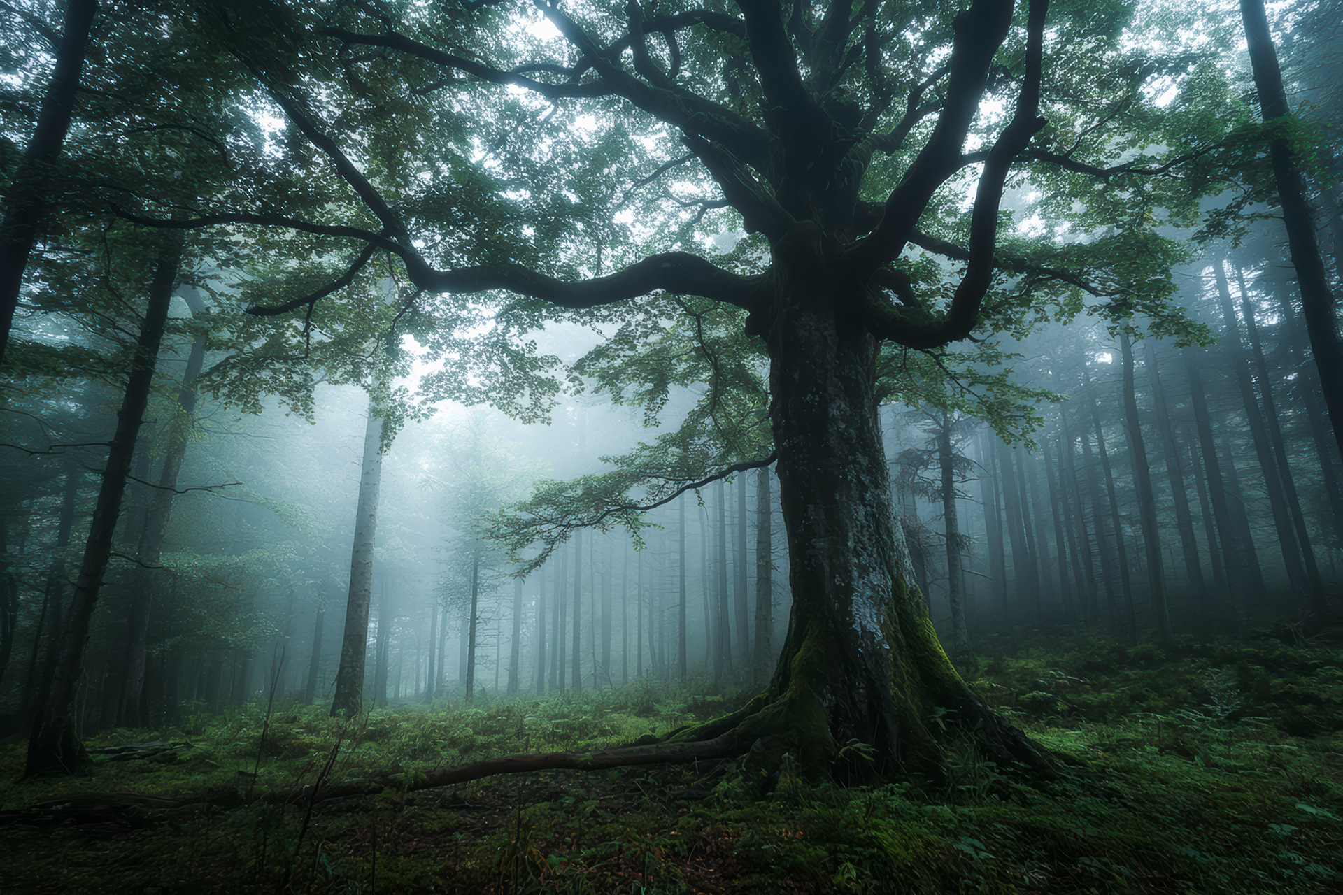 "Auf weiter Flur" (AI), Woche 30