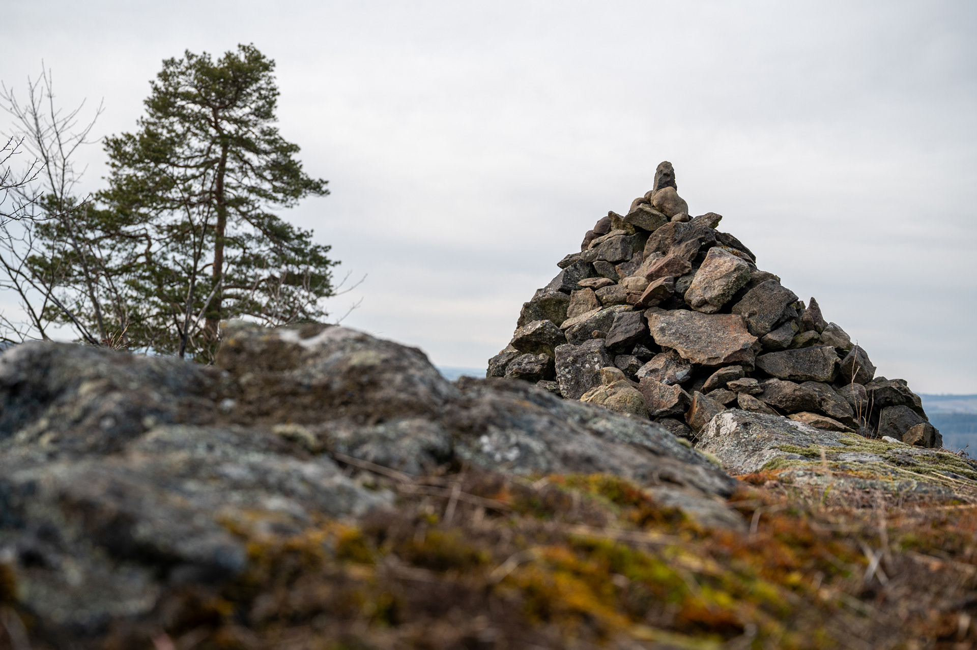 "Ganz schöner Haufen", Woche 27