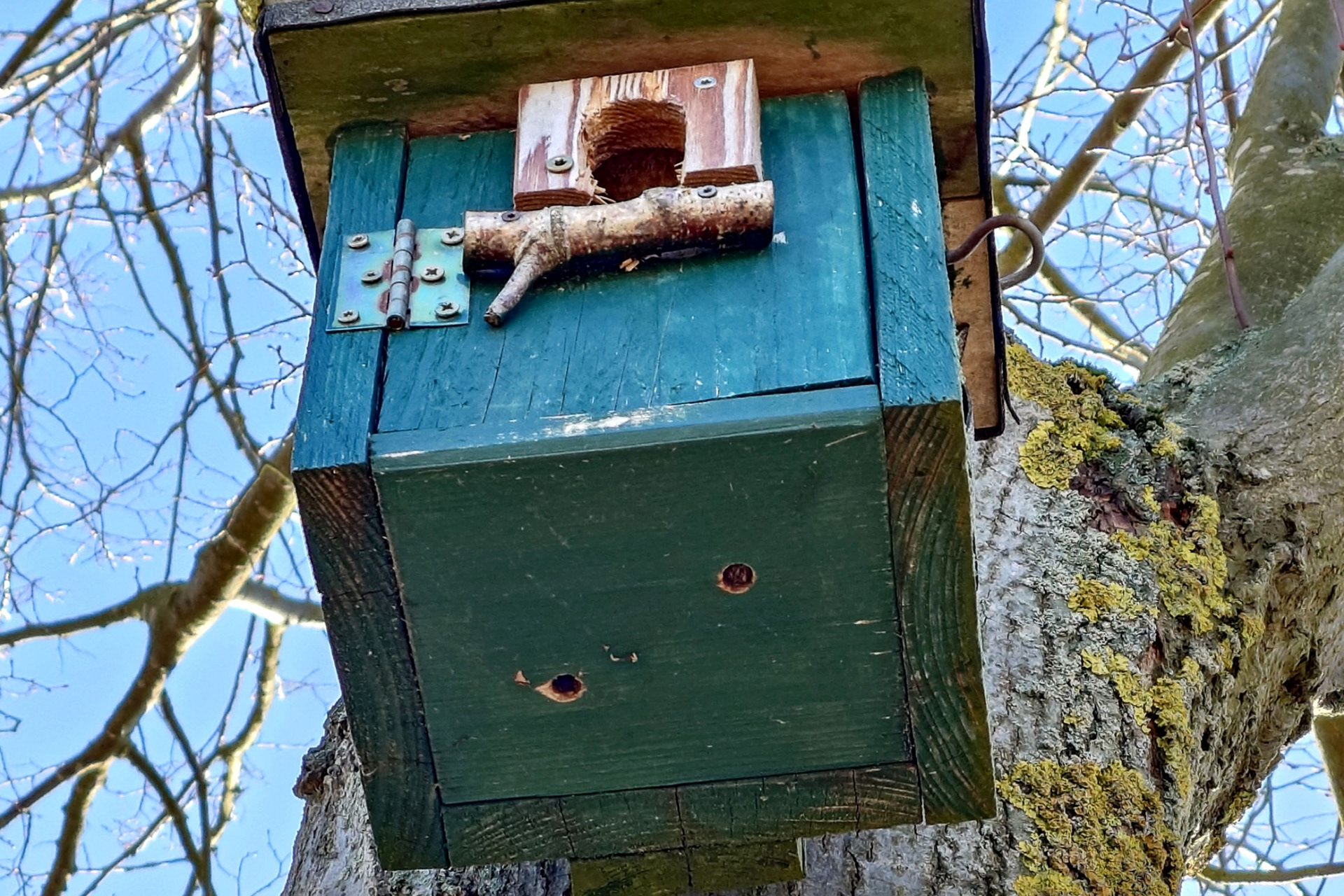 Vogel-Perspektive mal andersherum, entstanden bei einem Spaziergang auf Zedtwitzer Flur
