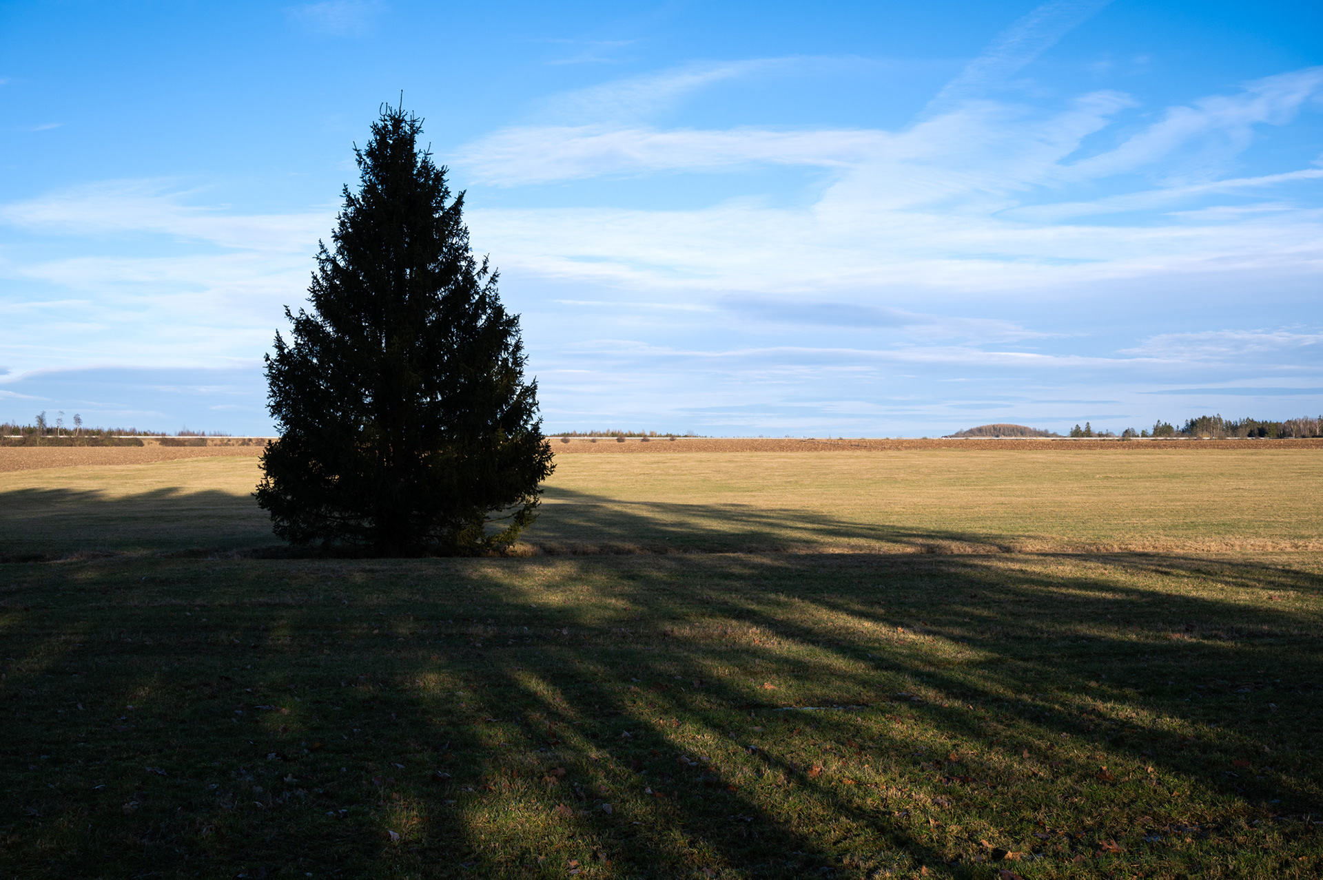 "Einzelfall", Woche 23