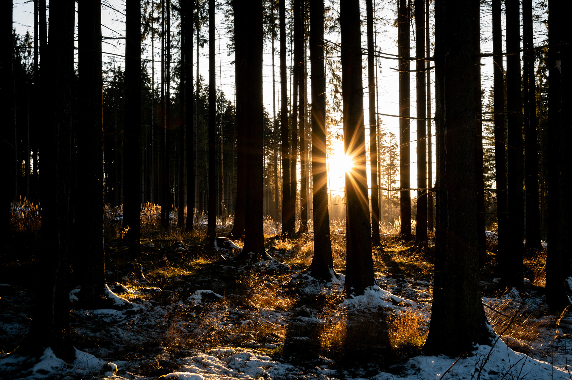 "Schönste Zeit", Woche 19