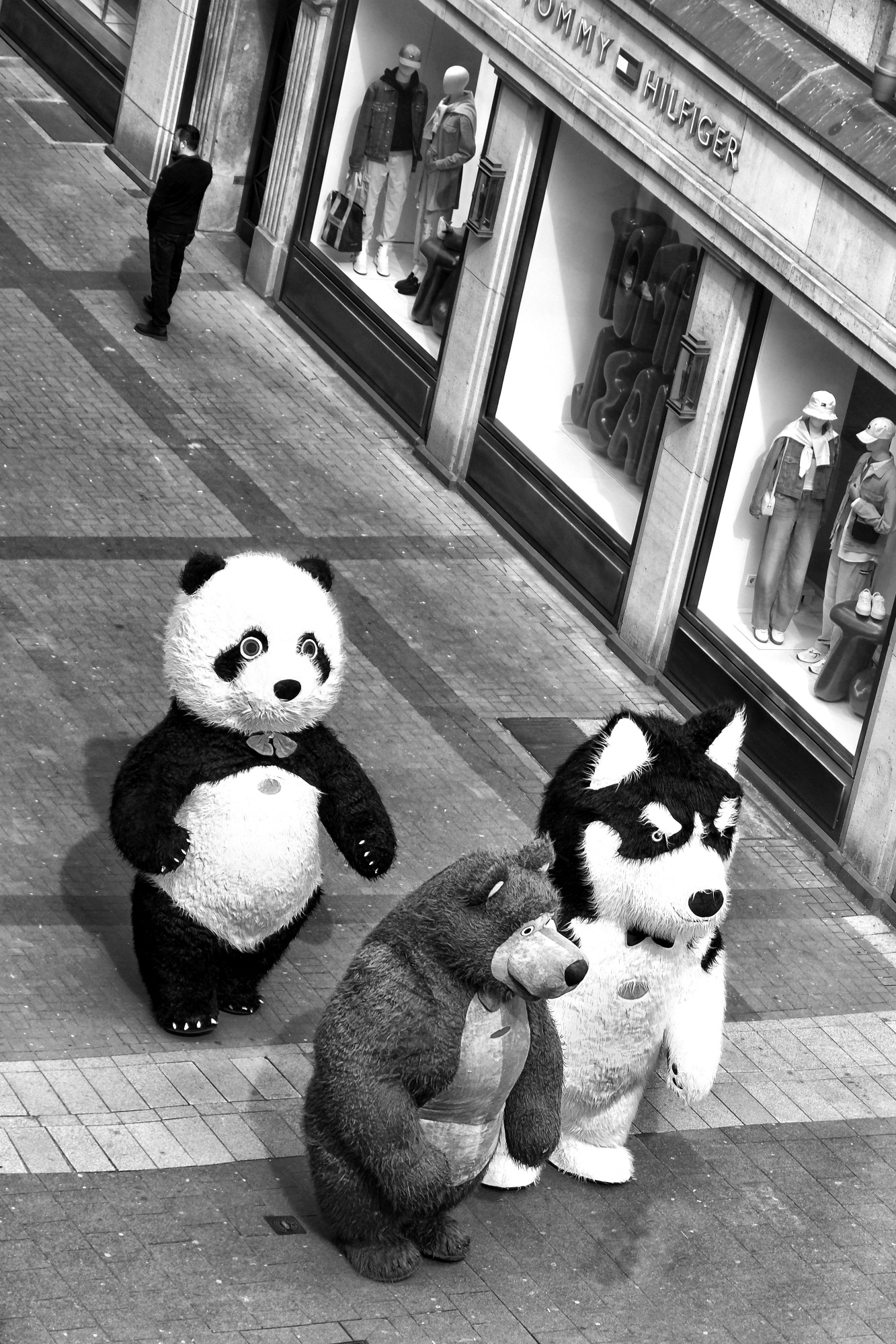 Ungewöhnliche Perspektive auf ungewöhnliche Kunden in einer Seitenstrasse an der Düsseldorfer Königsallee