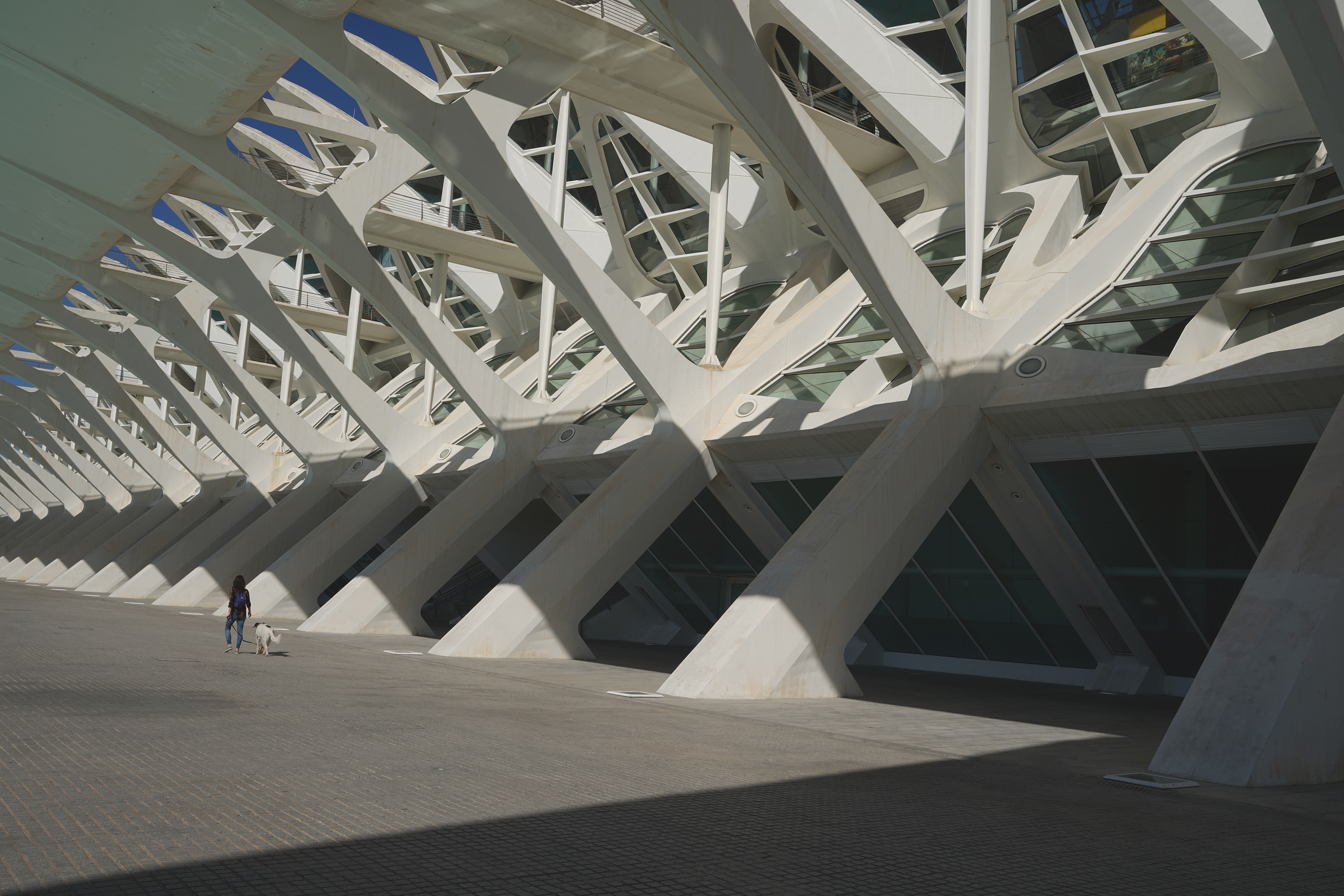 Prince Felipe Science Museum by Santiago Calatrava