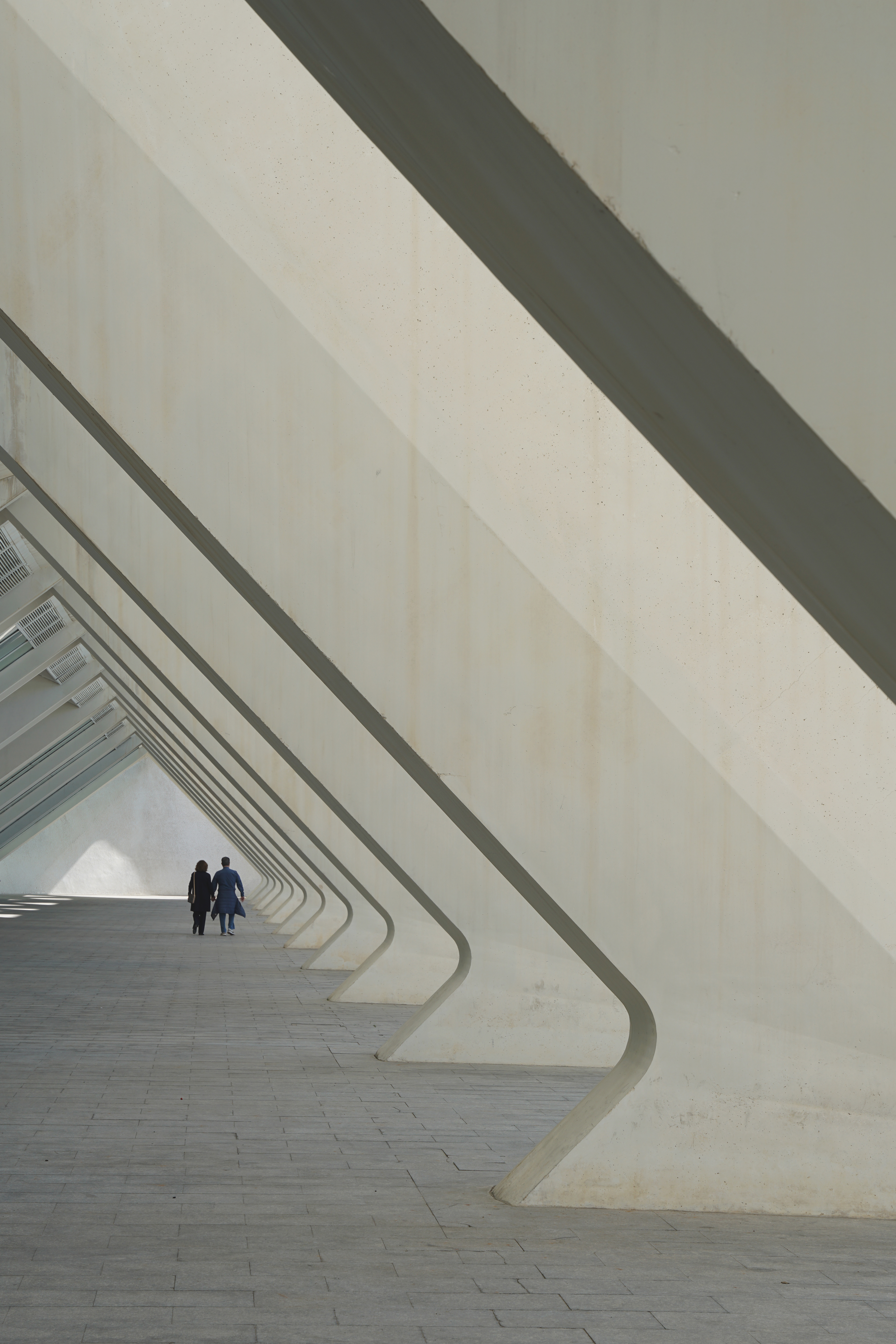 Prince Felipe Science Museum by Santiago Calatrava