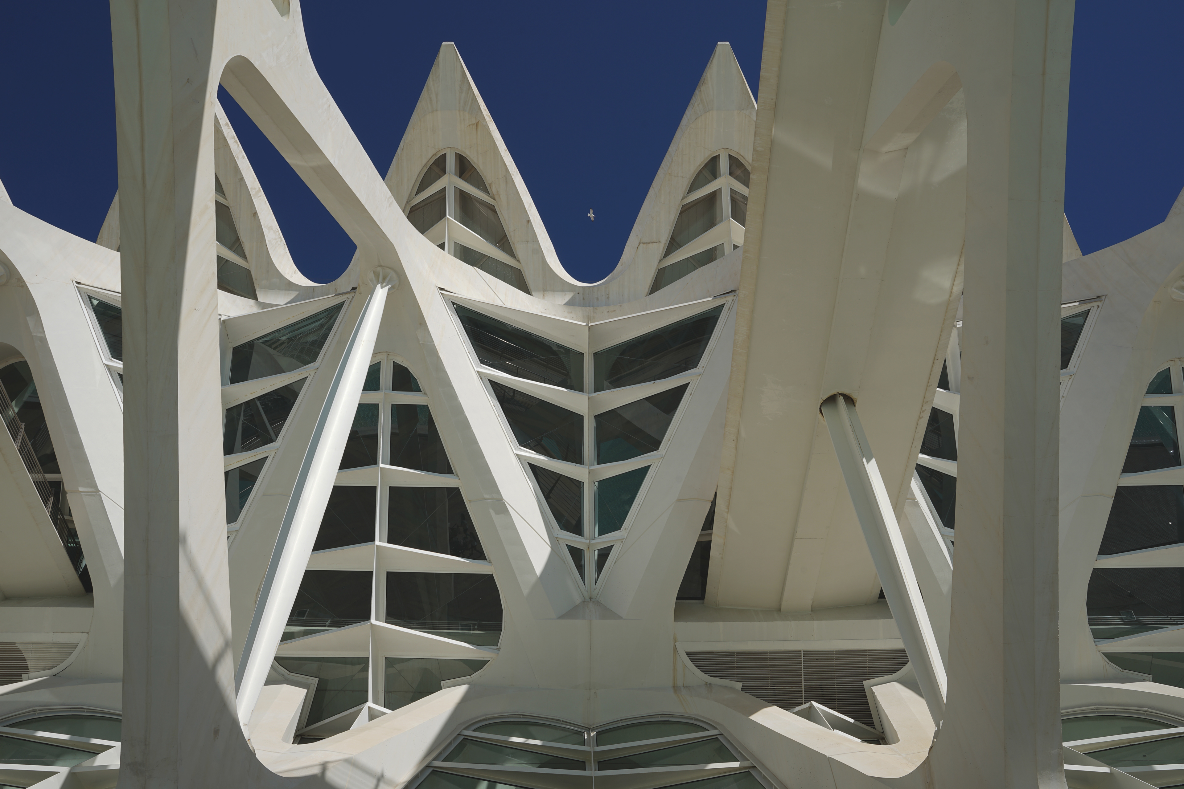 Prince Felipe Science Museum by Santiago Calatrava