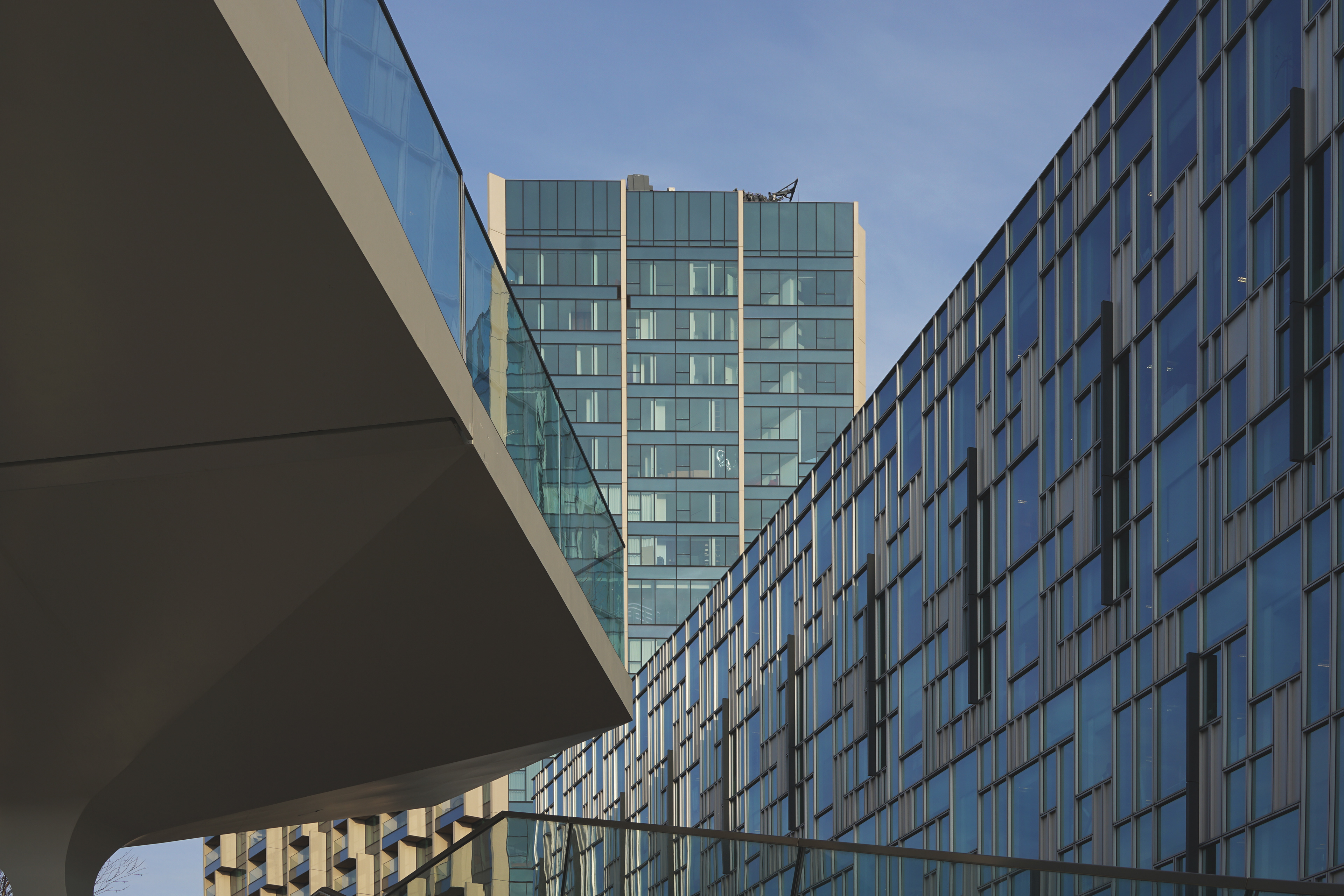 The Tide Park by Diller Scofidio + Renfro