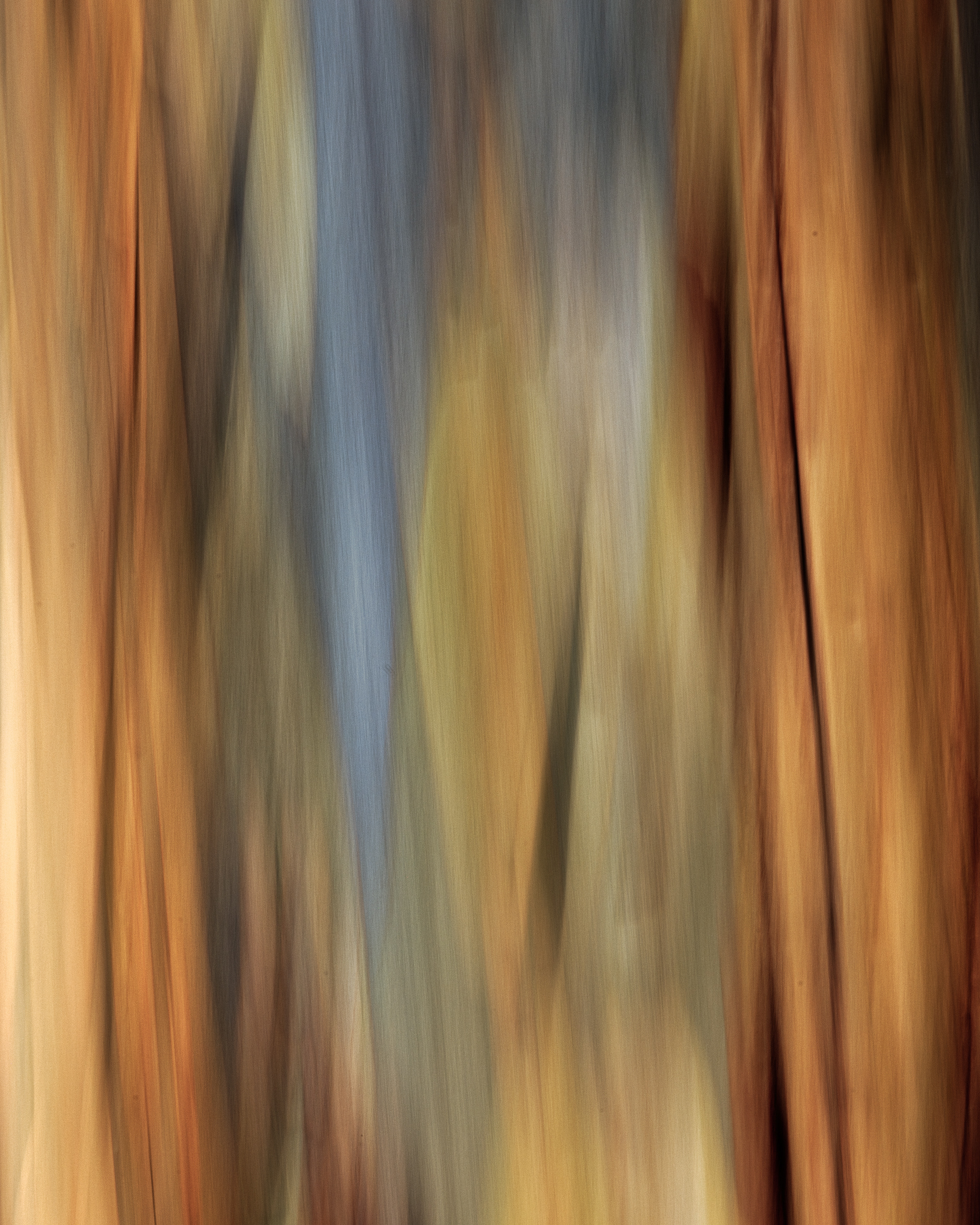Intentional Camera Movement (ICM)