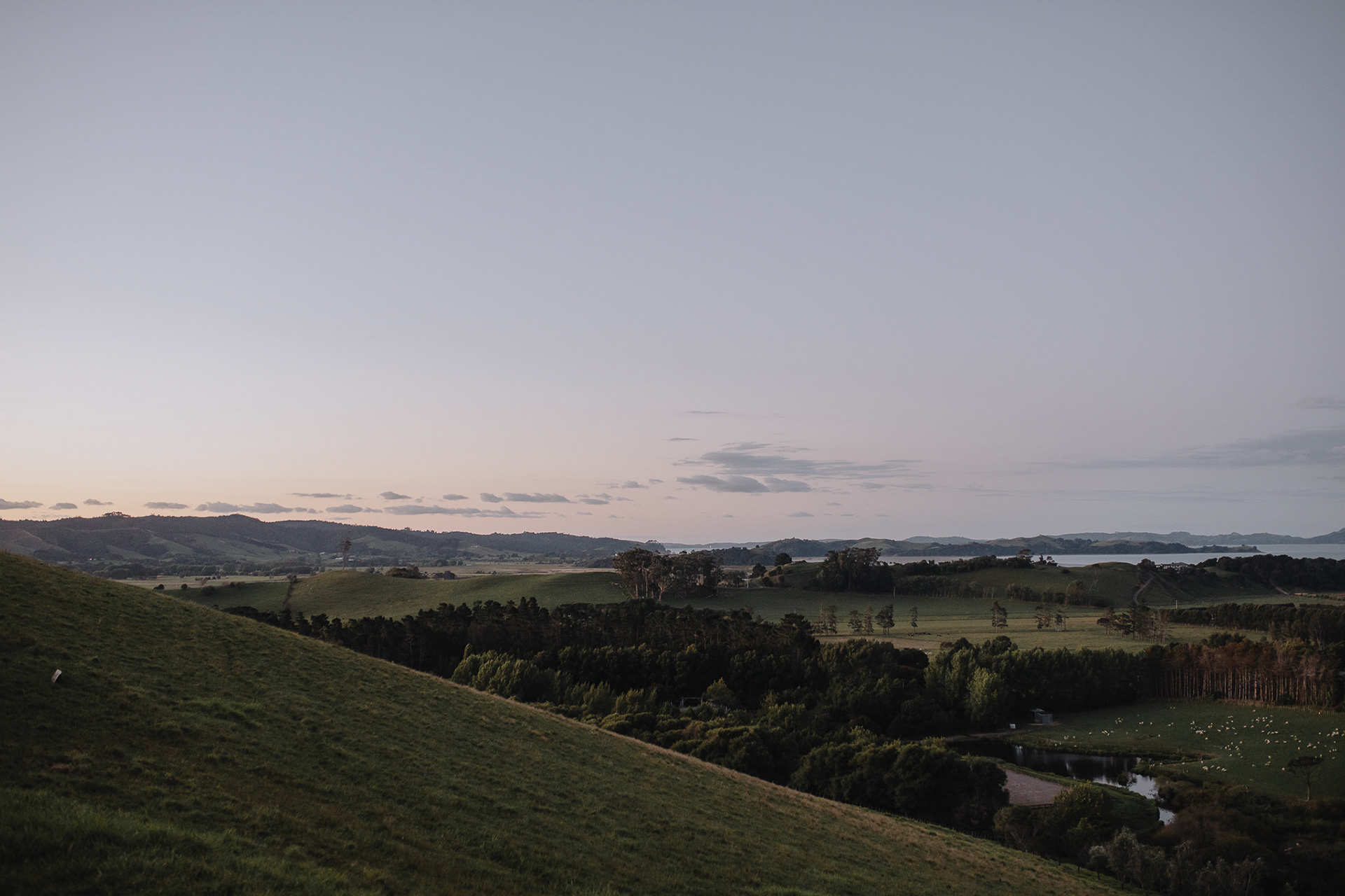 Kauri Bay Boomrock Wedding