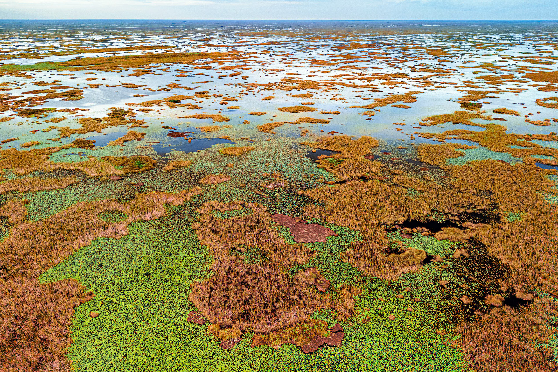 "Unmarked Territory"