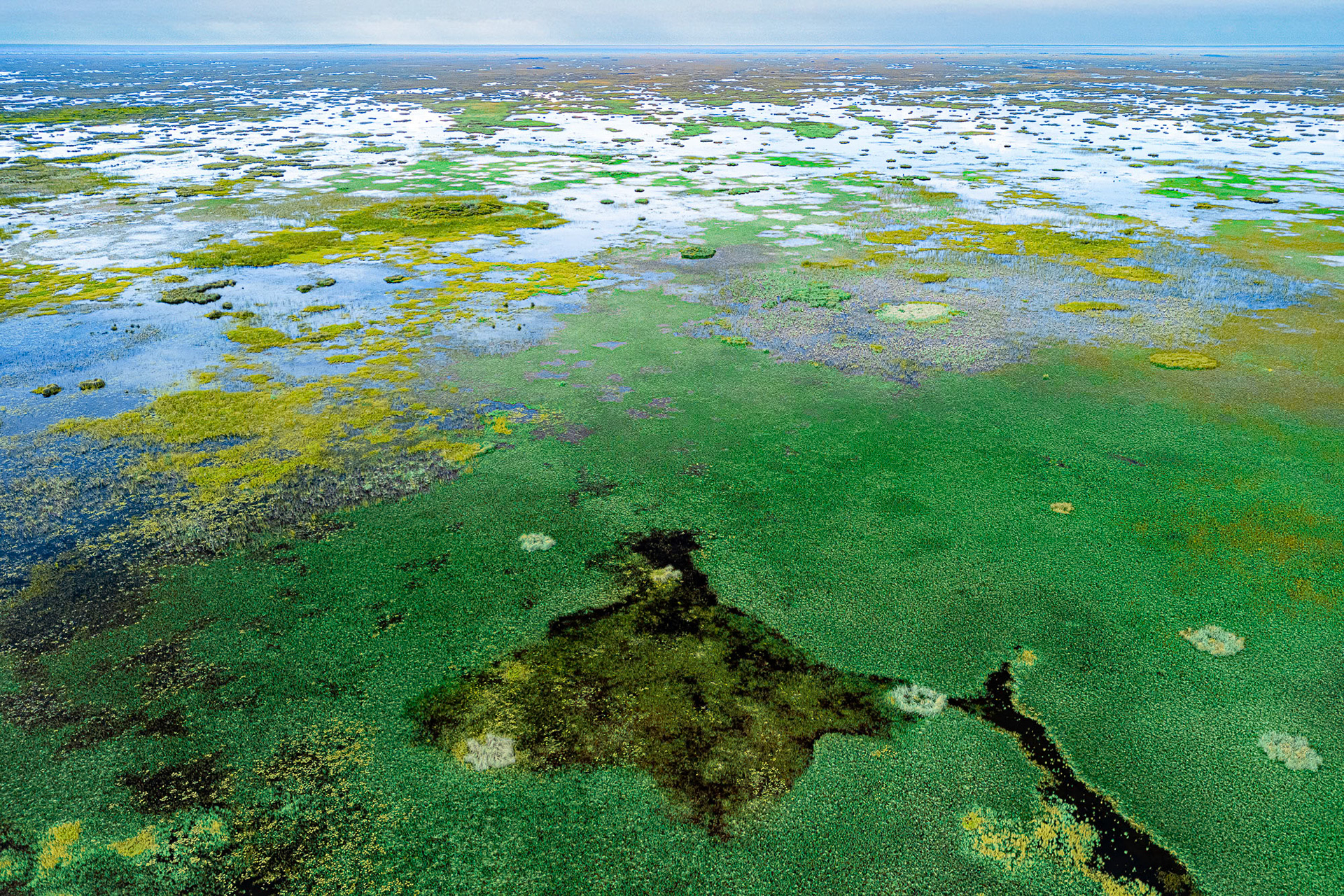 "Earth Uninterrupted"