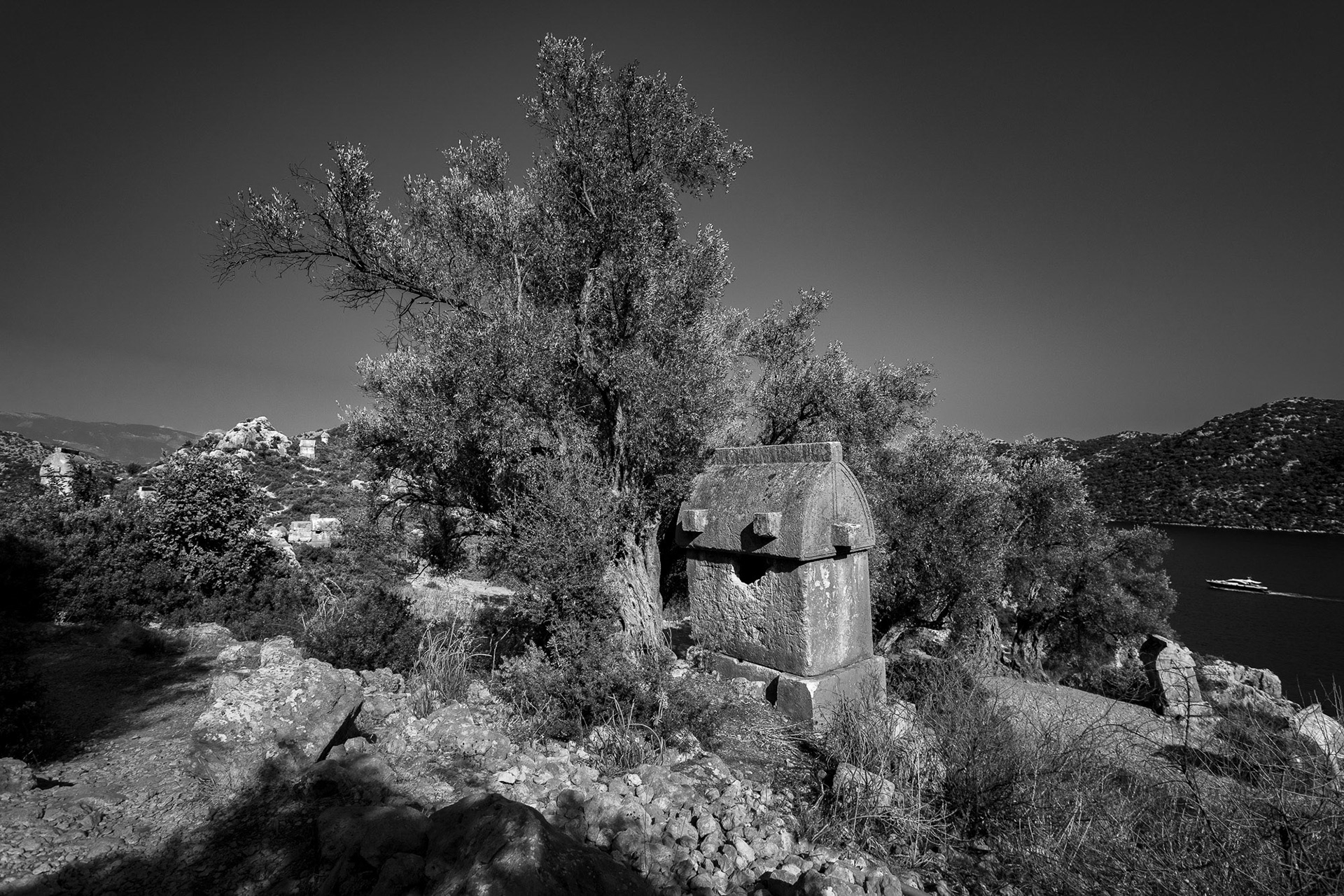 "Olive Tree" - The majestic olive tree overlooks the magical Kekova region. It's probably not much younger than the ancient Lycian sarcophagus it shares this dreamlike setting with.