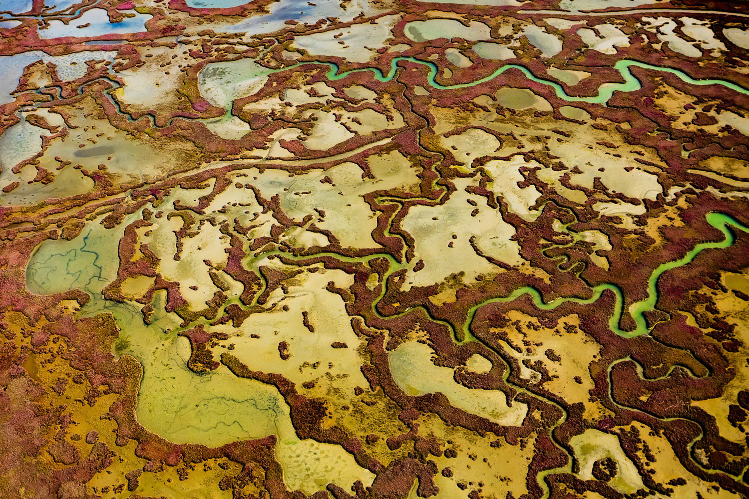 "Yumurtalik 3" - There is a giant wetland system between the mouth of the Ceyhan River and the Yumurtalik Gulf, consisting of lagoons, salt marshes, mud flats, reeds, wet meadows, sand dunes and a pine forest. The main wetlands are the Yumurtalik (or Çamlik) lagoon and the fisheries inside of these. - The detail I saw in the colorful salt marshes on the sea in the Yumurtalık lagoon resembled a jigsaw puzzle.